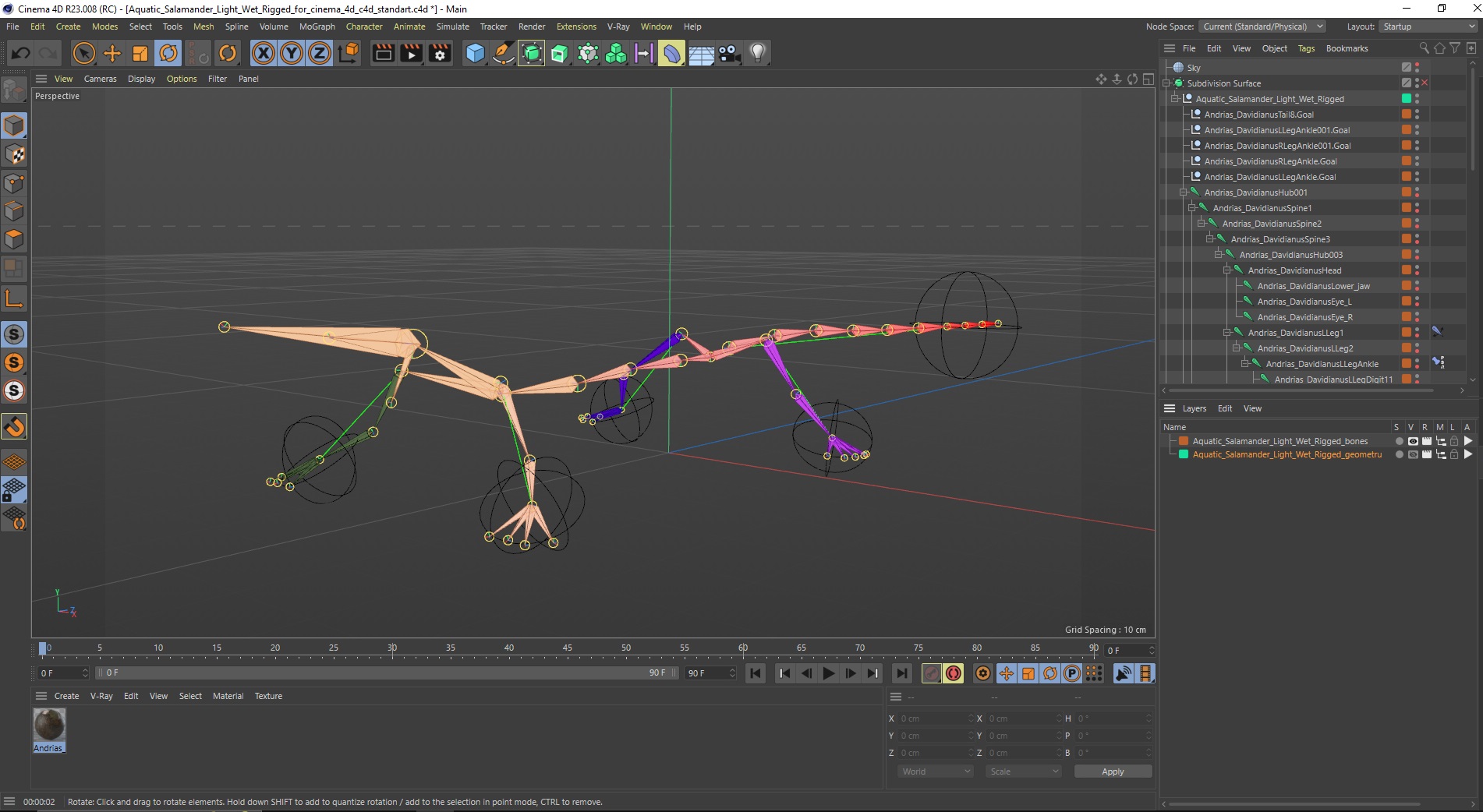 Aquatic Salamander Light Wet Rigged for Cinema 4D 3D model