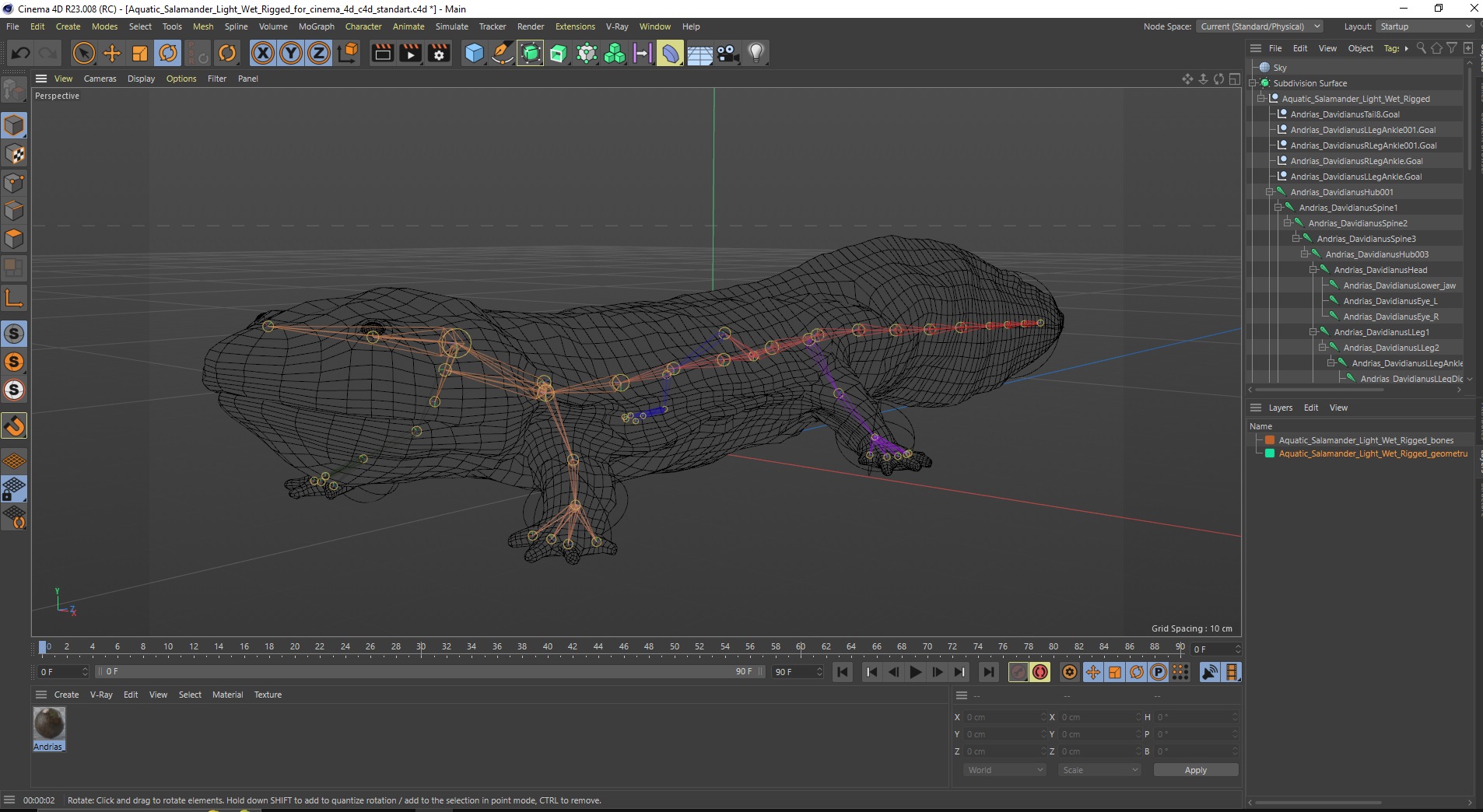 Aquatic Salamander Light Wet Rigged for Cinema 4D 3D model