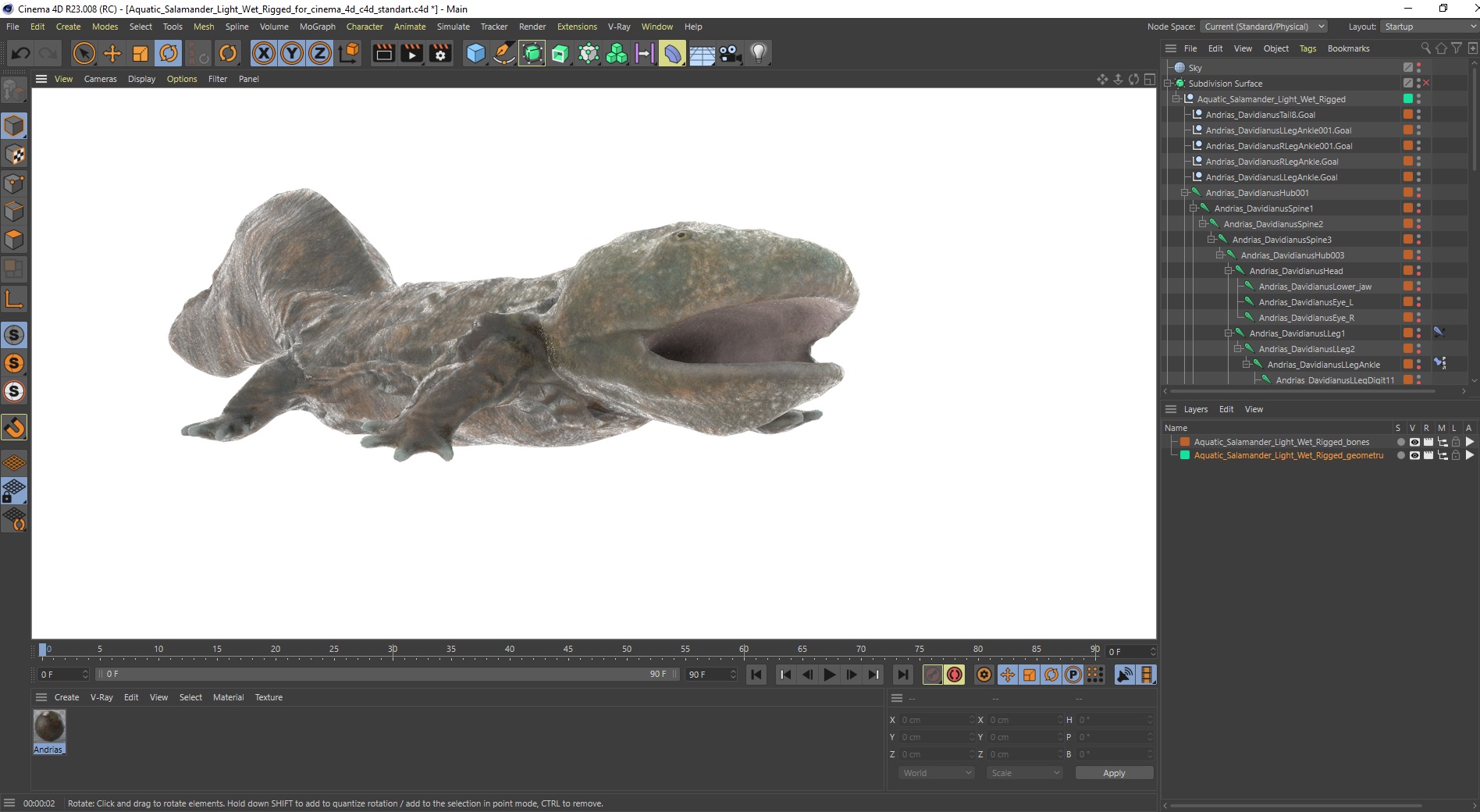 Aquatic Salamander Light Wet Rigged for Cinema 4D 3D model