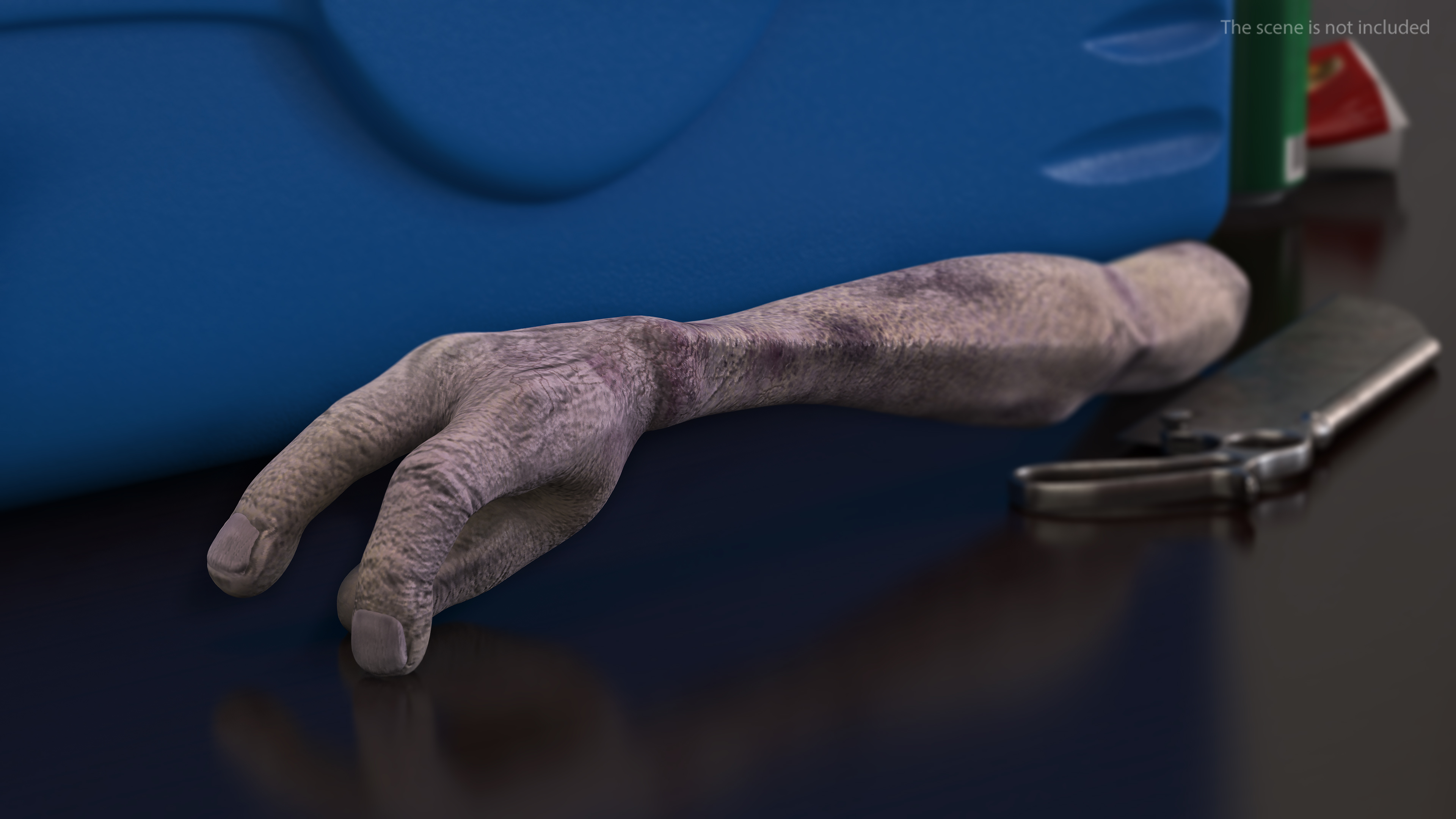 Alien Arm 3D model