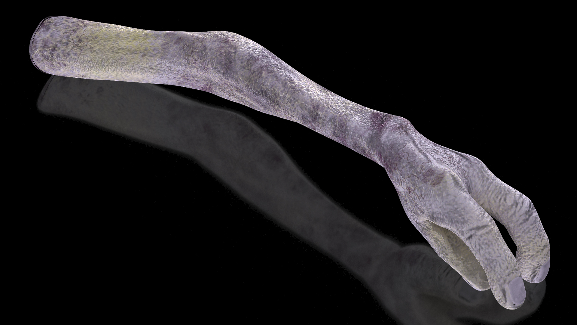 Alien Arm 3D model