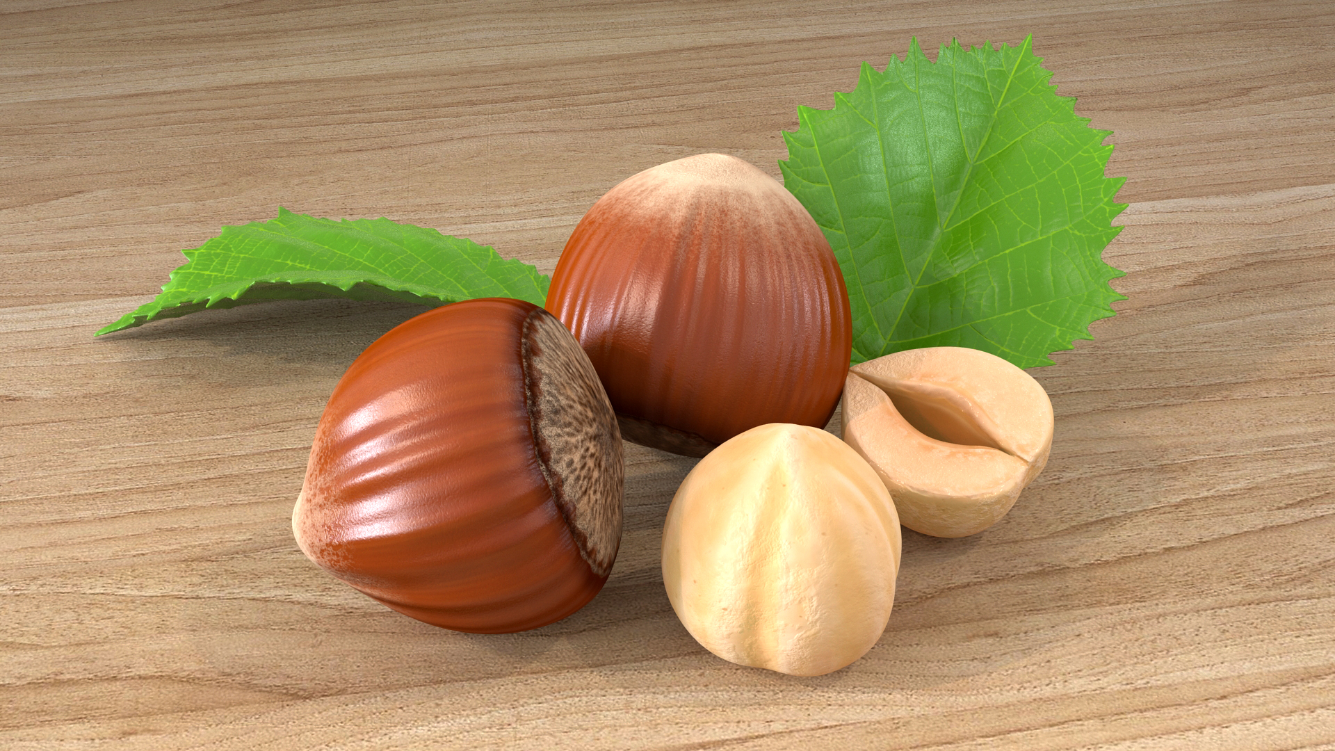 Hazelnut Leaves and Seed