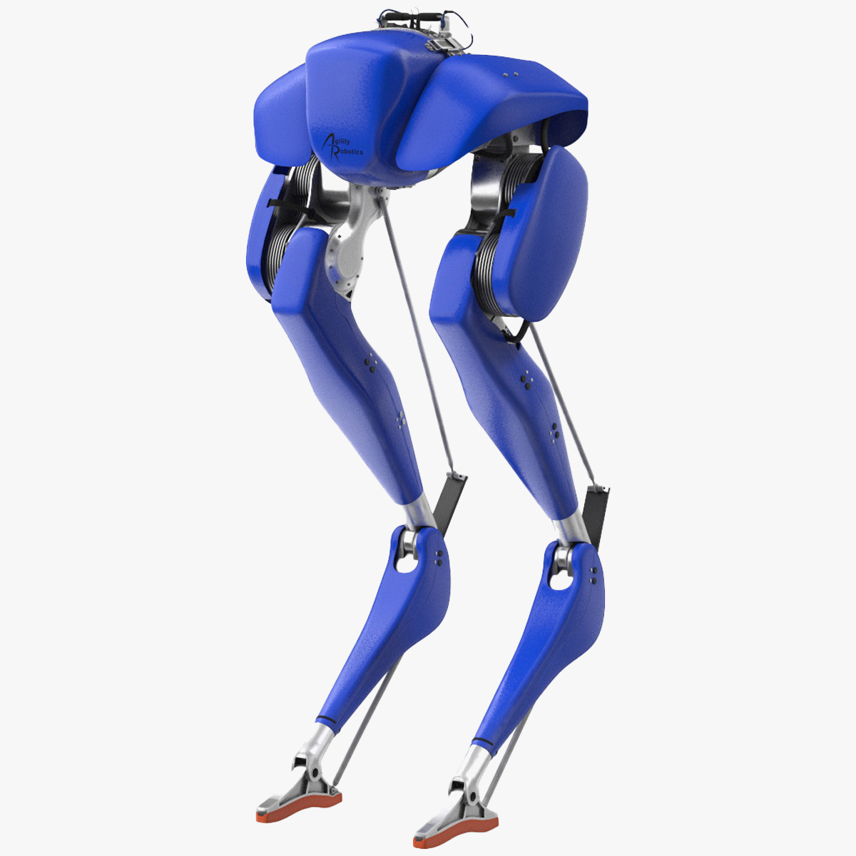 3D Cassie Robot Blue Rigged for Maya model