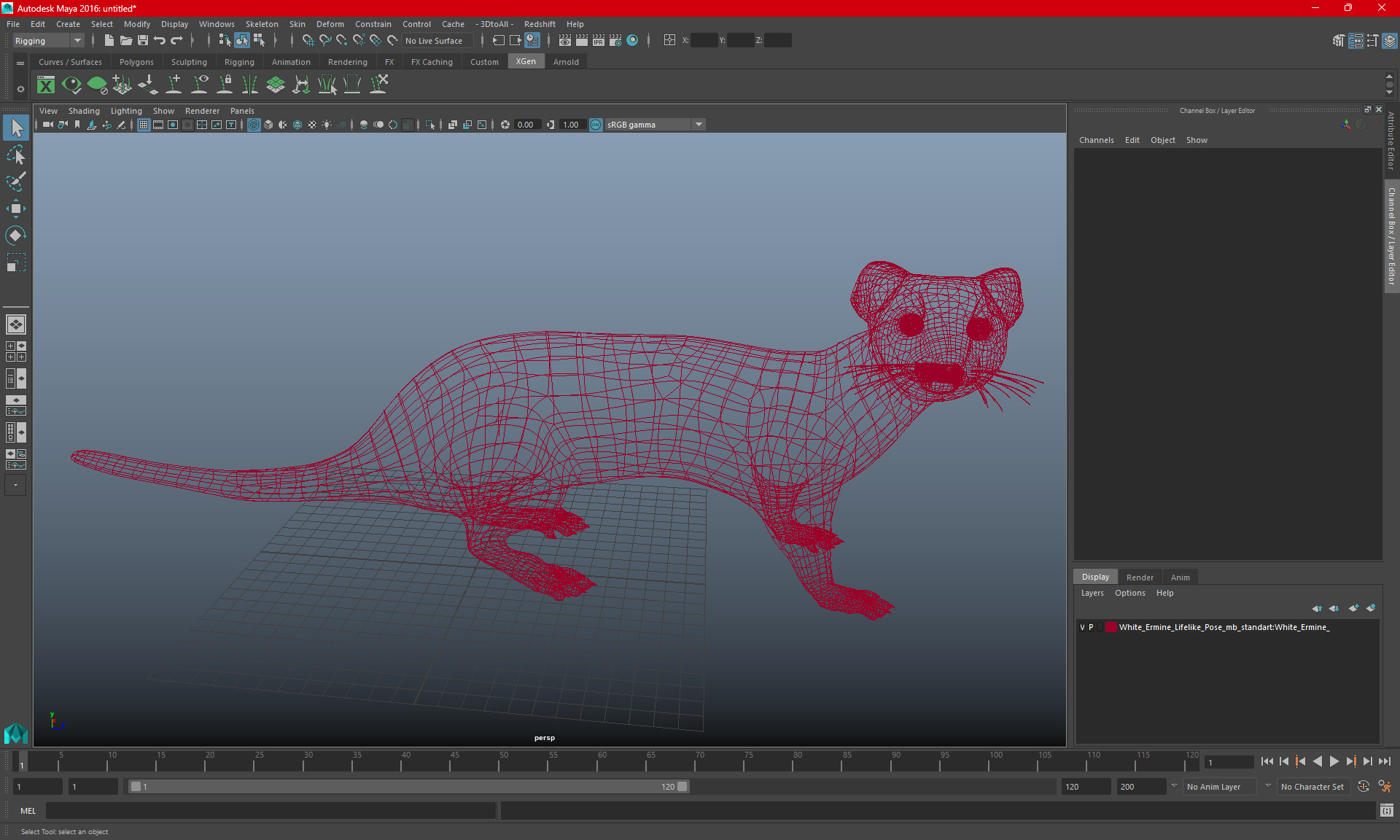 3D White Ermine Lifelike Pose