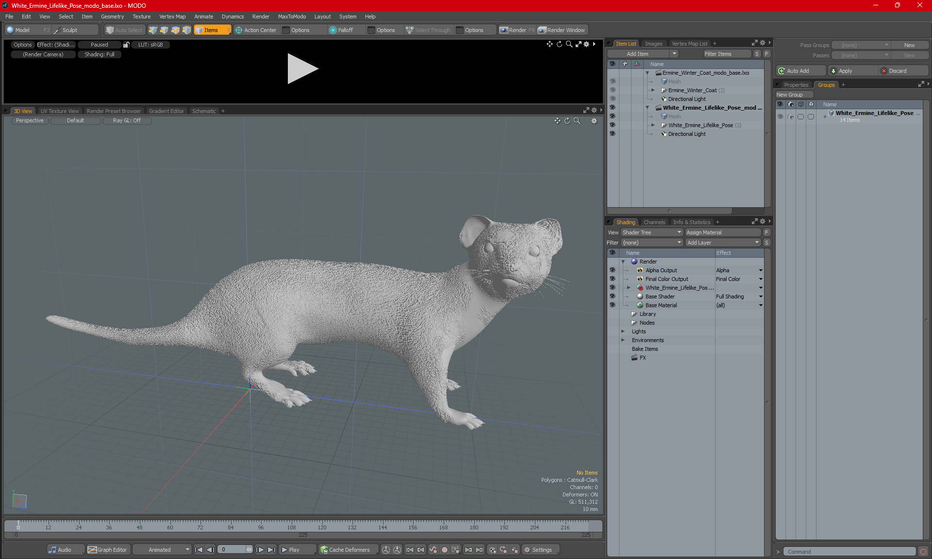 3D White Ermine Lifelike Pose