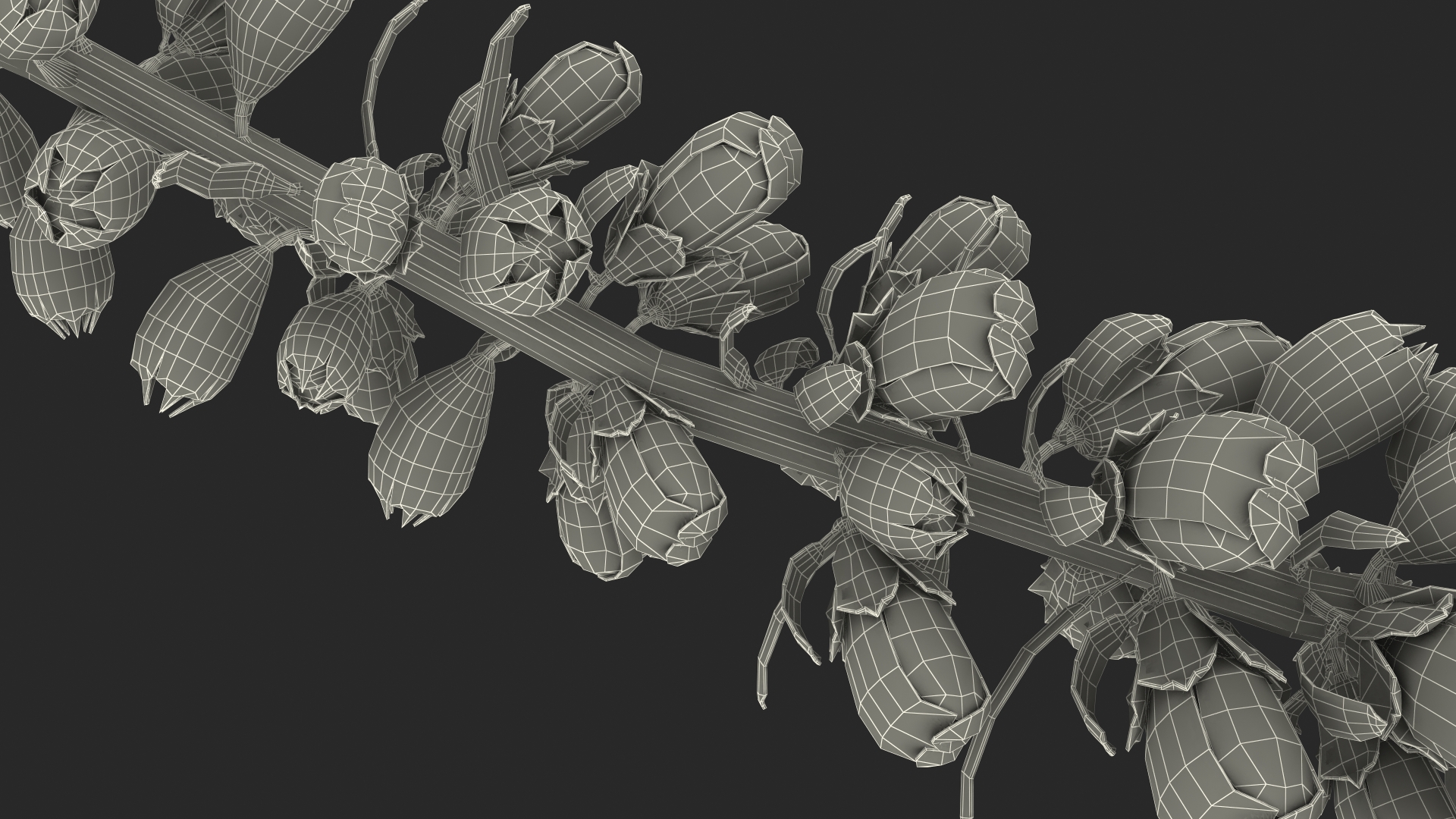 3D Pink Foxglove model
