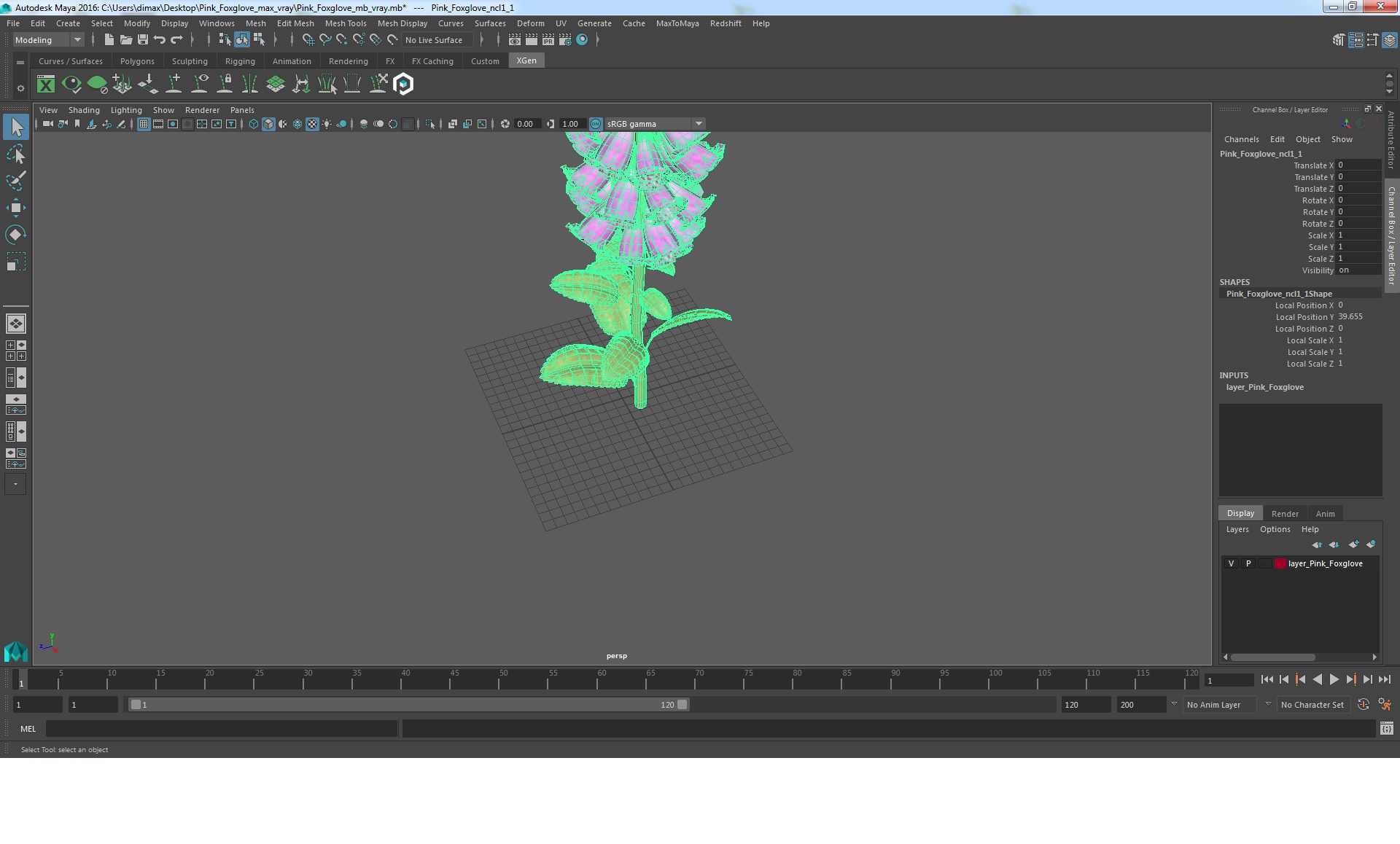 3D Pink Foxglove model