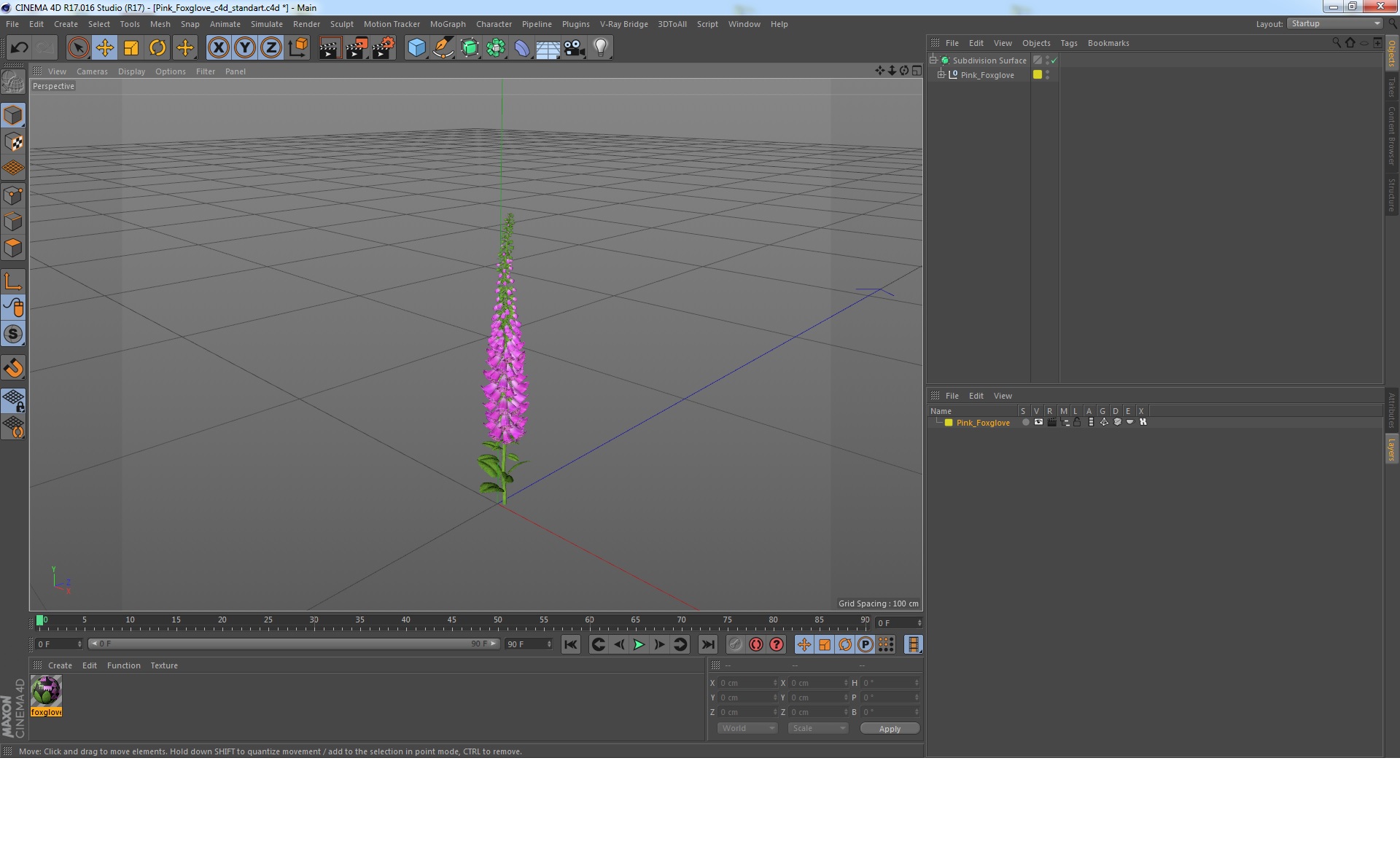 3D Pink Foxglove model