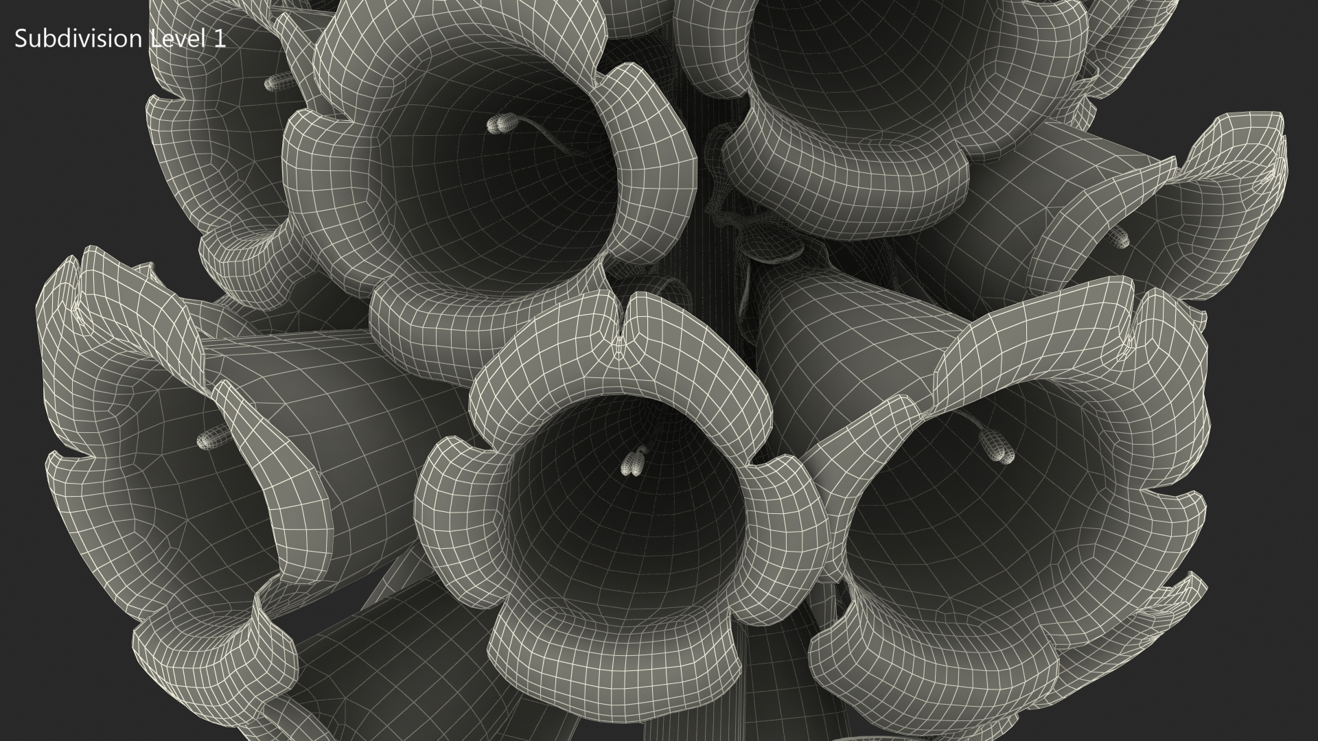 3D Pink Foxglove model