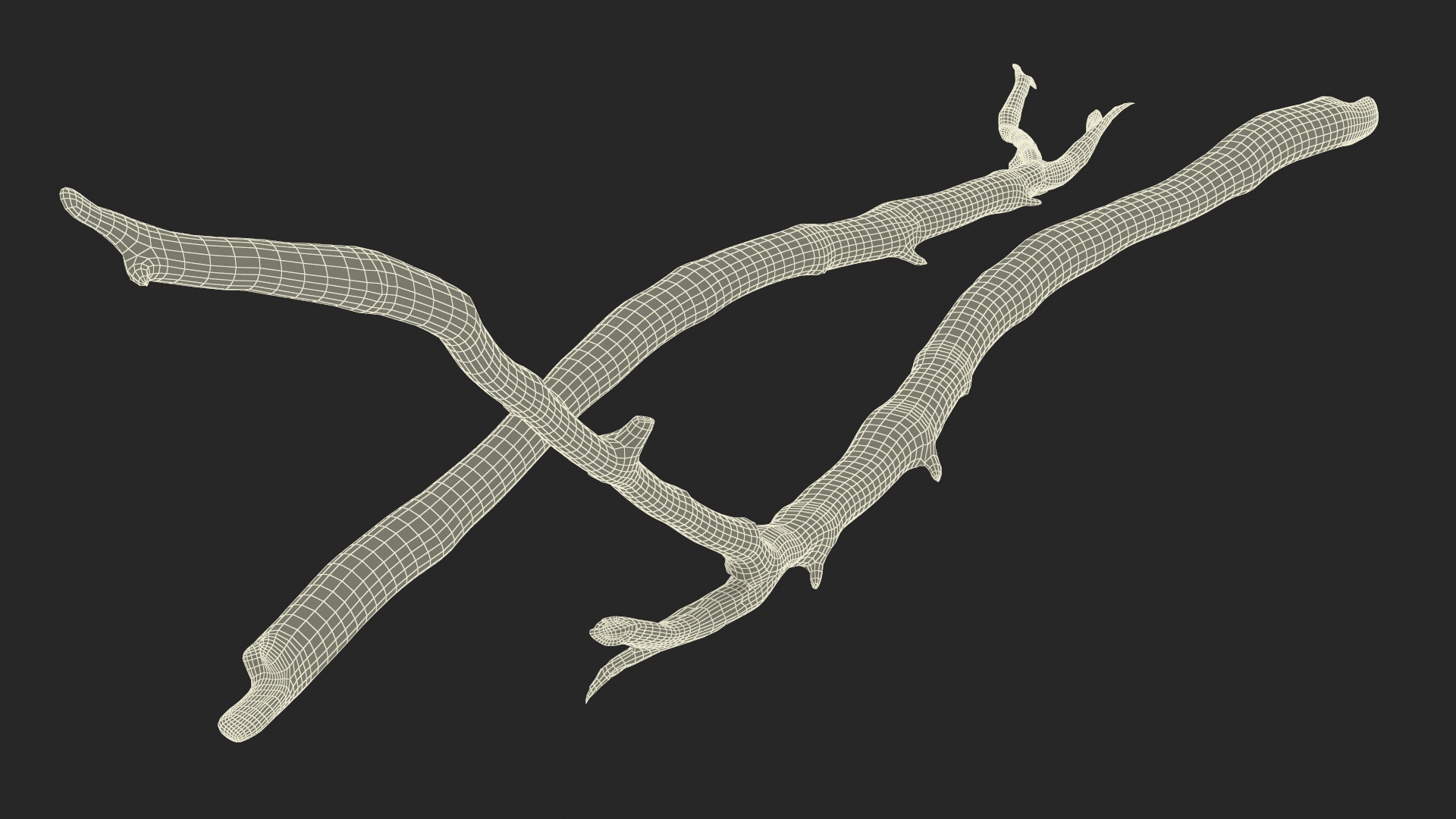 3D model Dry Branch