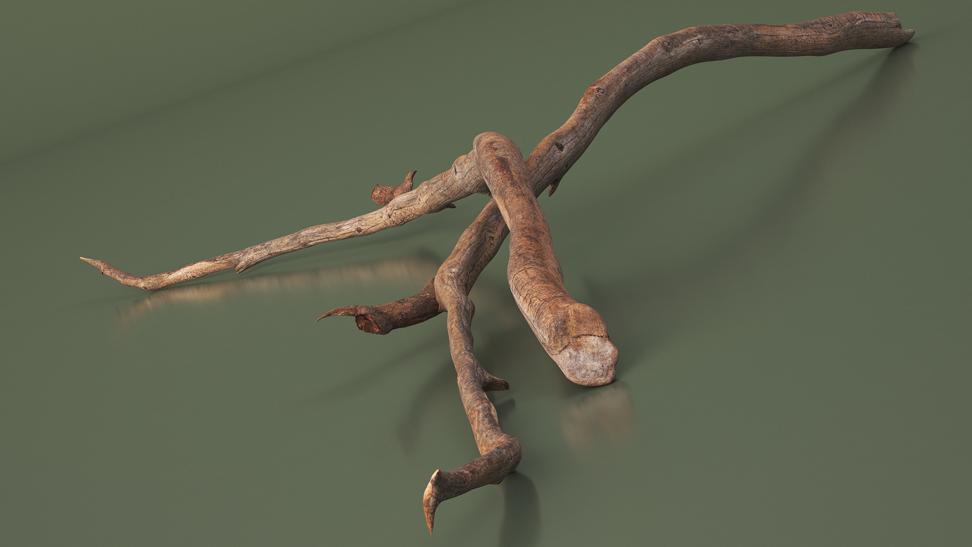 3D model Dry Branch