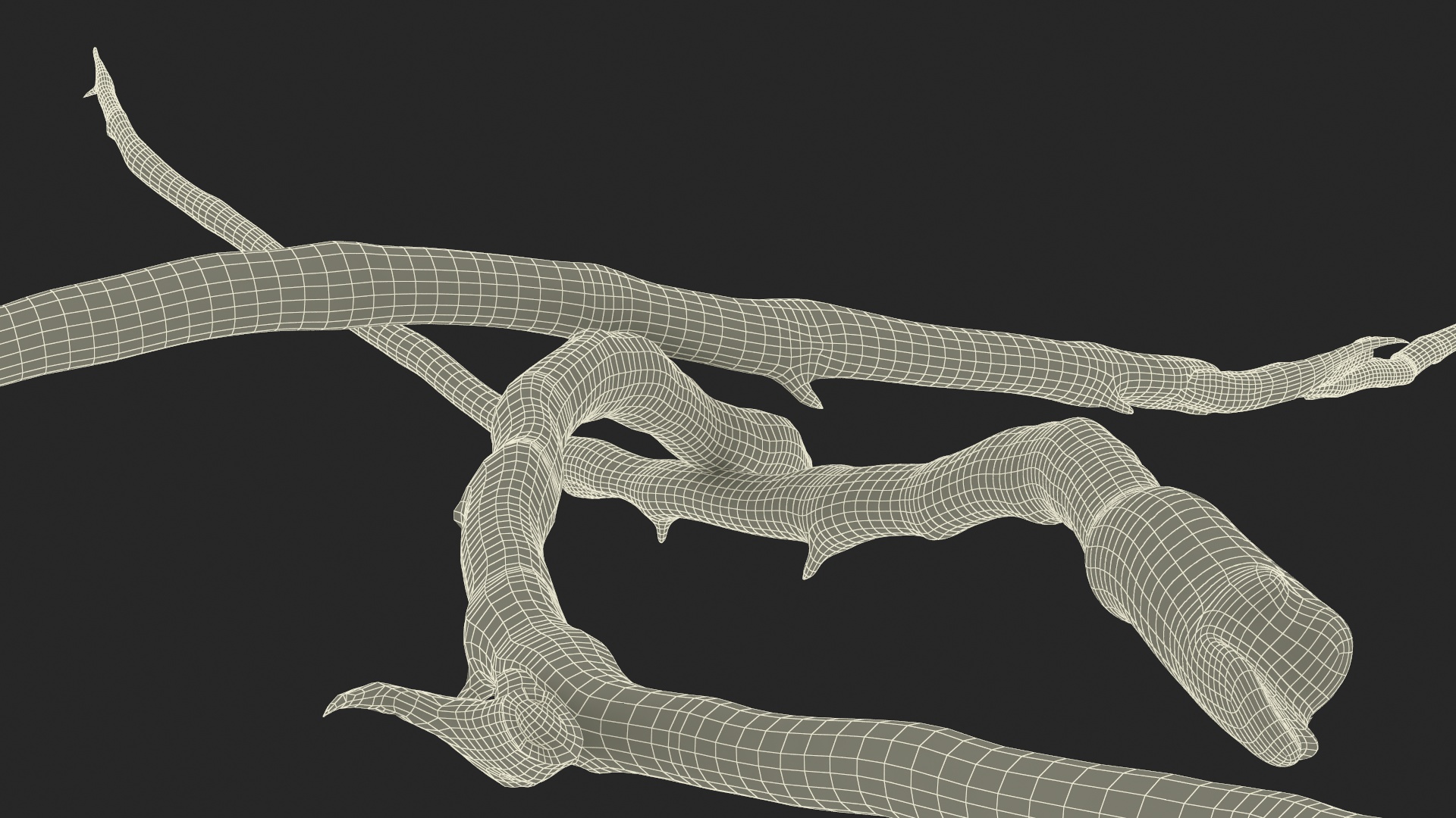 3D model Dry Branch