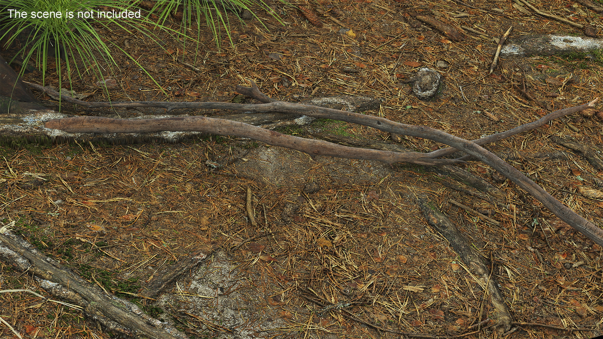 3D model Dry Branch