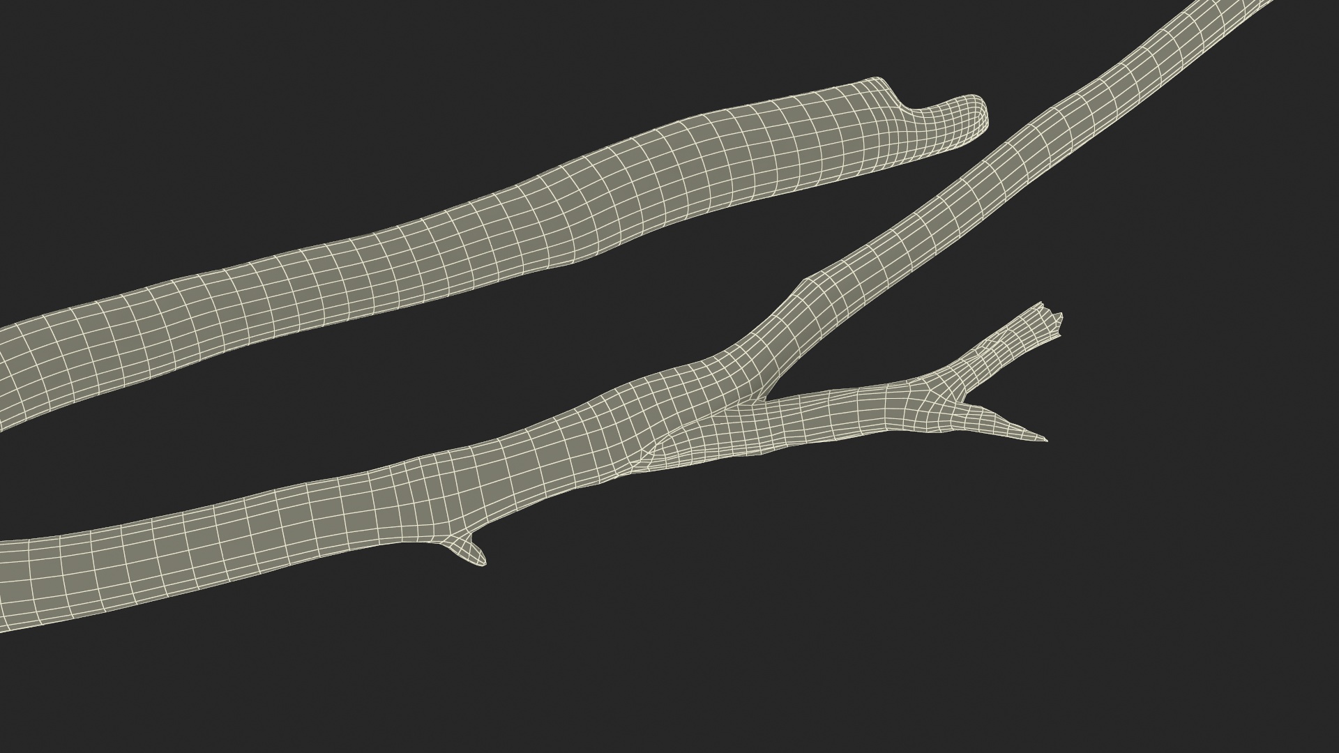 3D model Dry Branch
