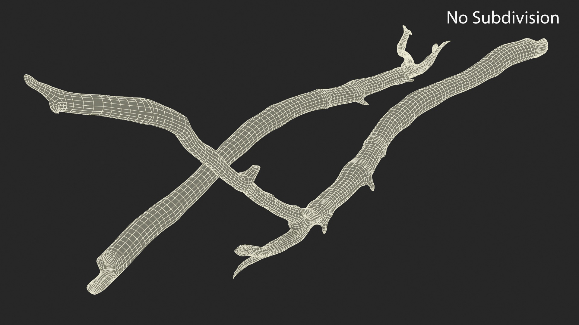 3D model Dry Branch