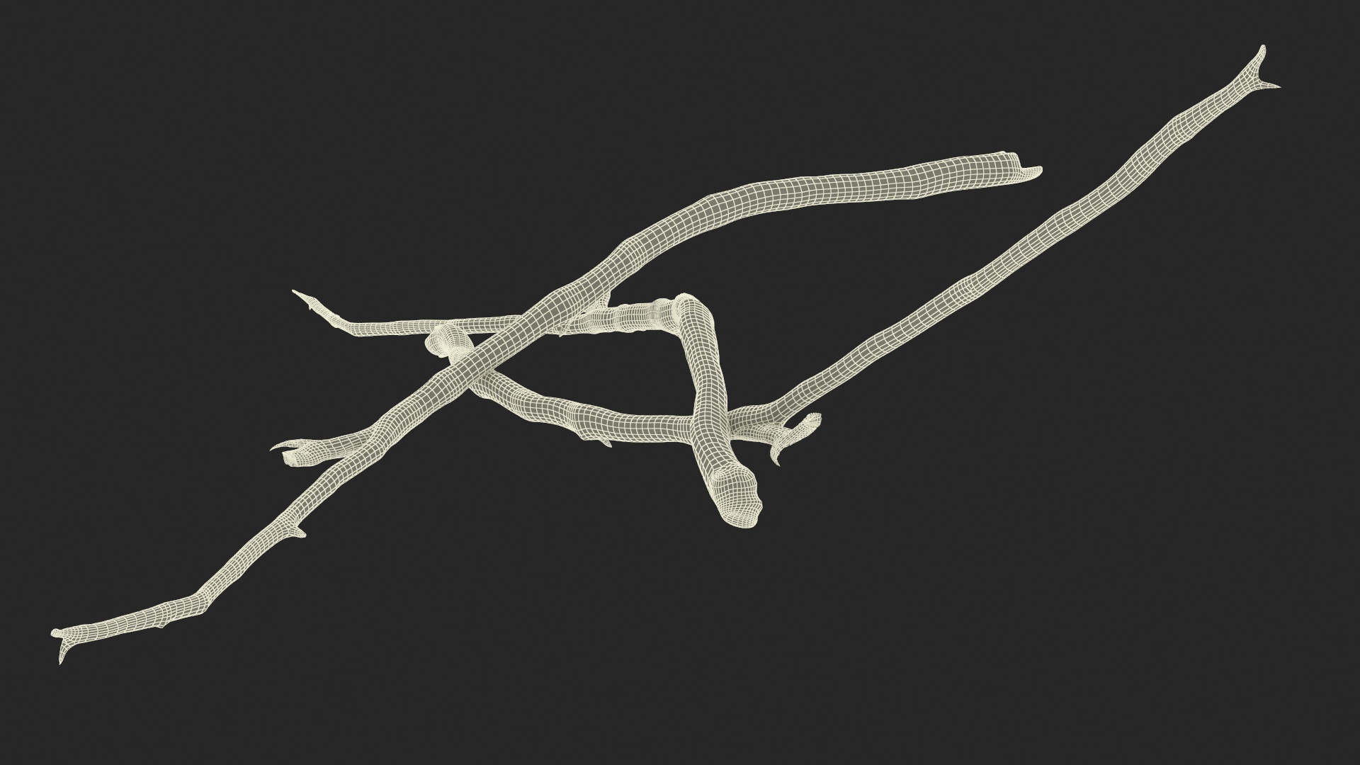3D model Dry Branch