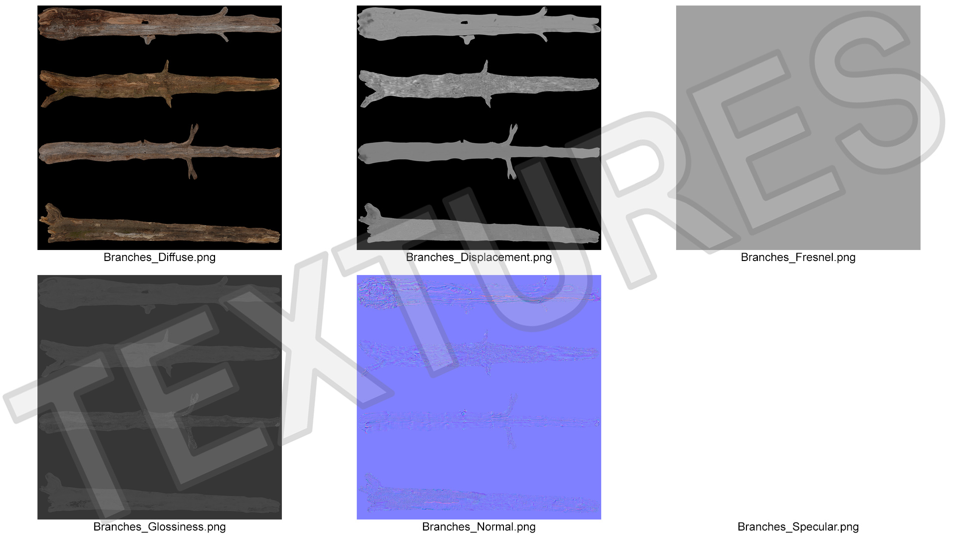 3D model Dry Branch