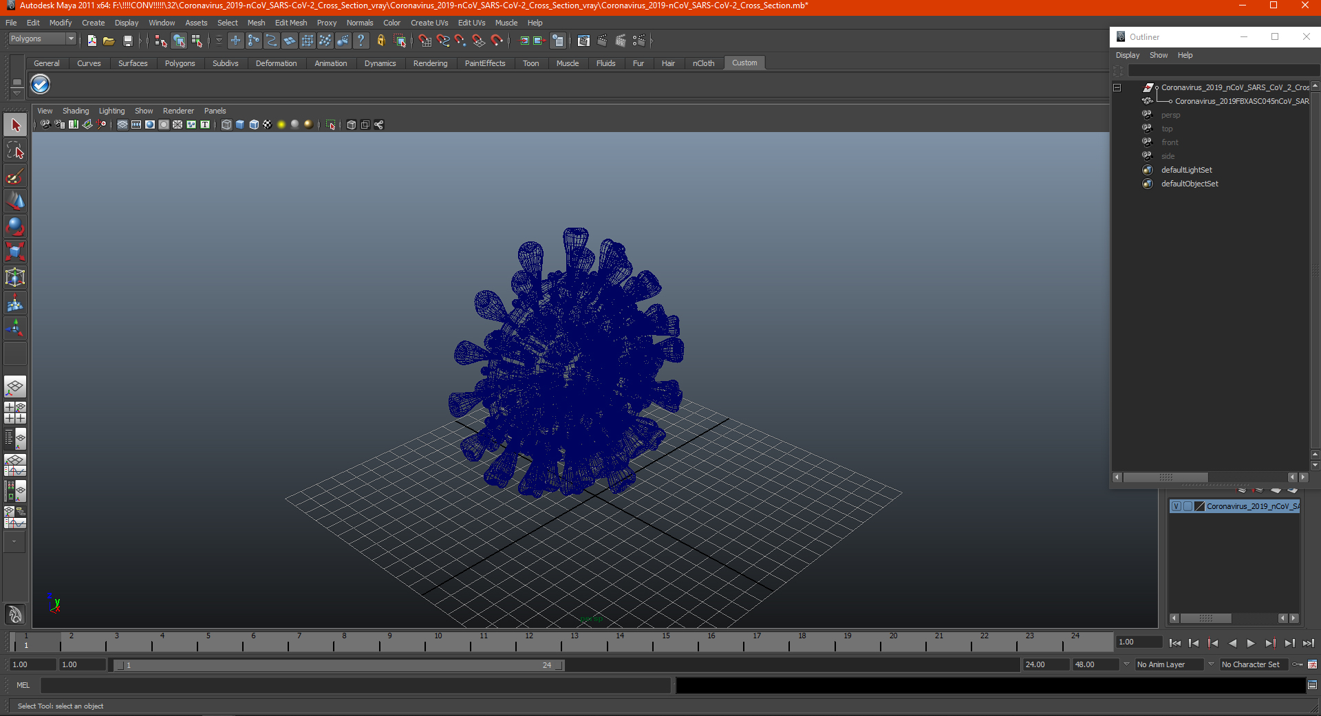 3D Coronavirus 2019-nCoV SARS-CoV-2 Cross Section