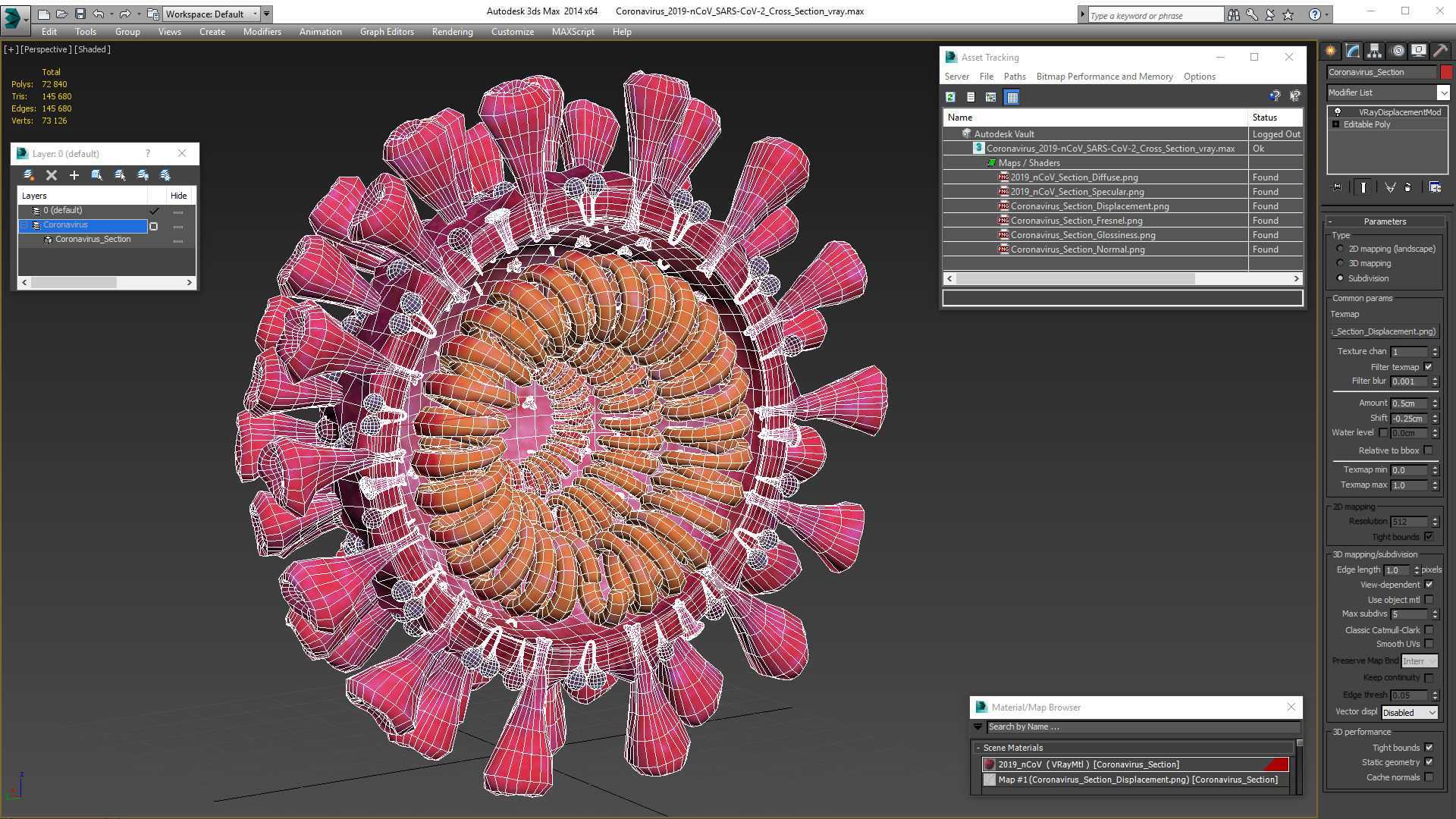 3D Coronavirus 2019-nCoV SARS-CoV-2 Cross Section