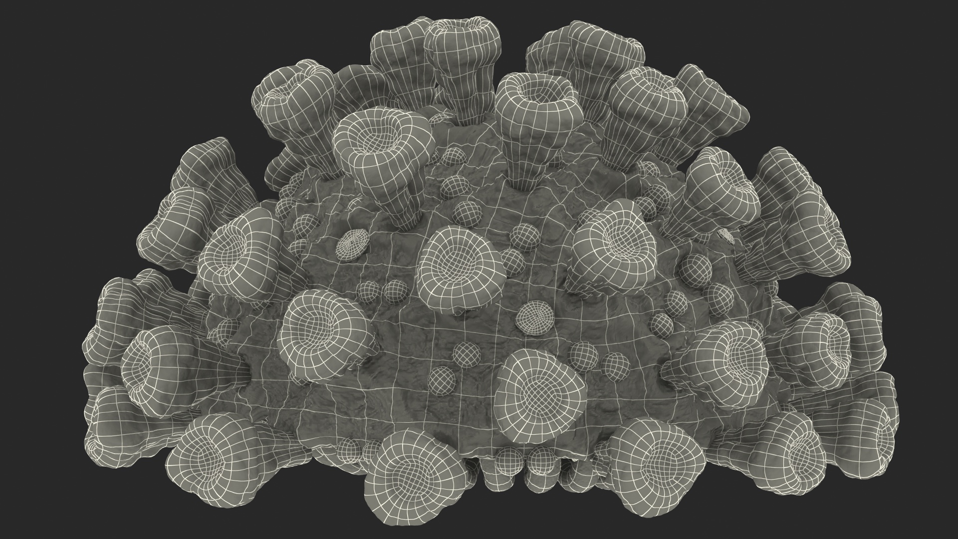 3D Coronavirus 2019-nCoV SARS-CoV-2 Cross Section