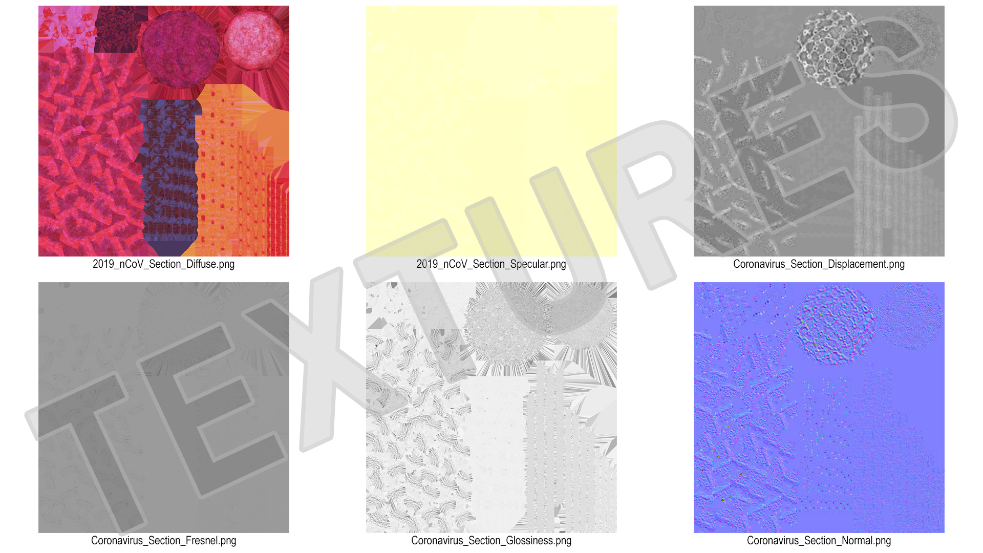 3D Coronavirus 2019-nCoV SARS-CoV-2 Cross Section