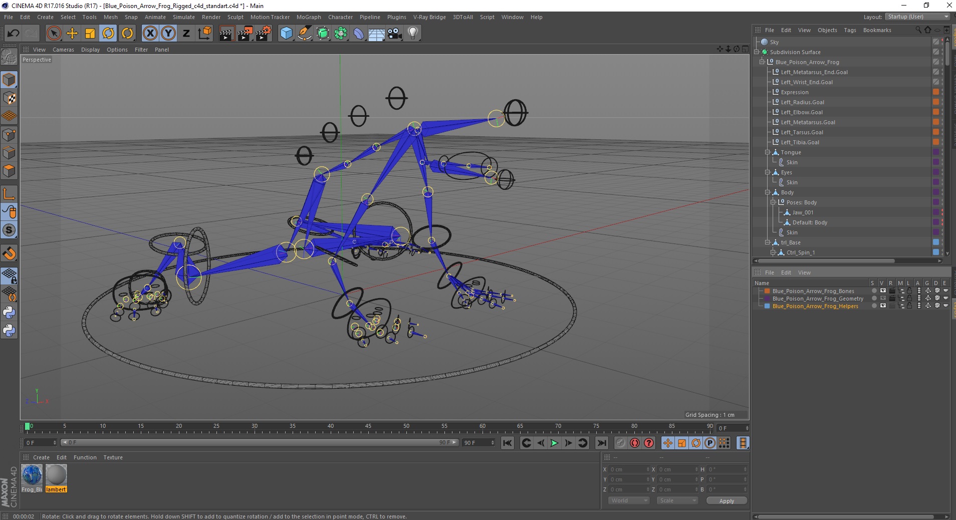 3D Blue Poison Arrow Frog Rigged for Cinema 4D model