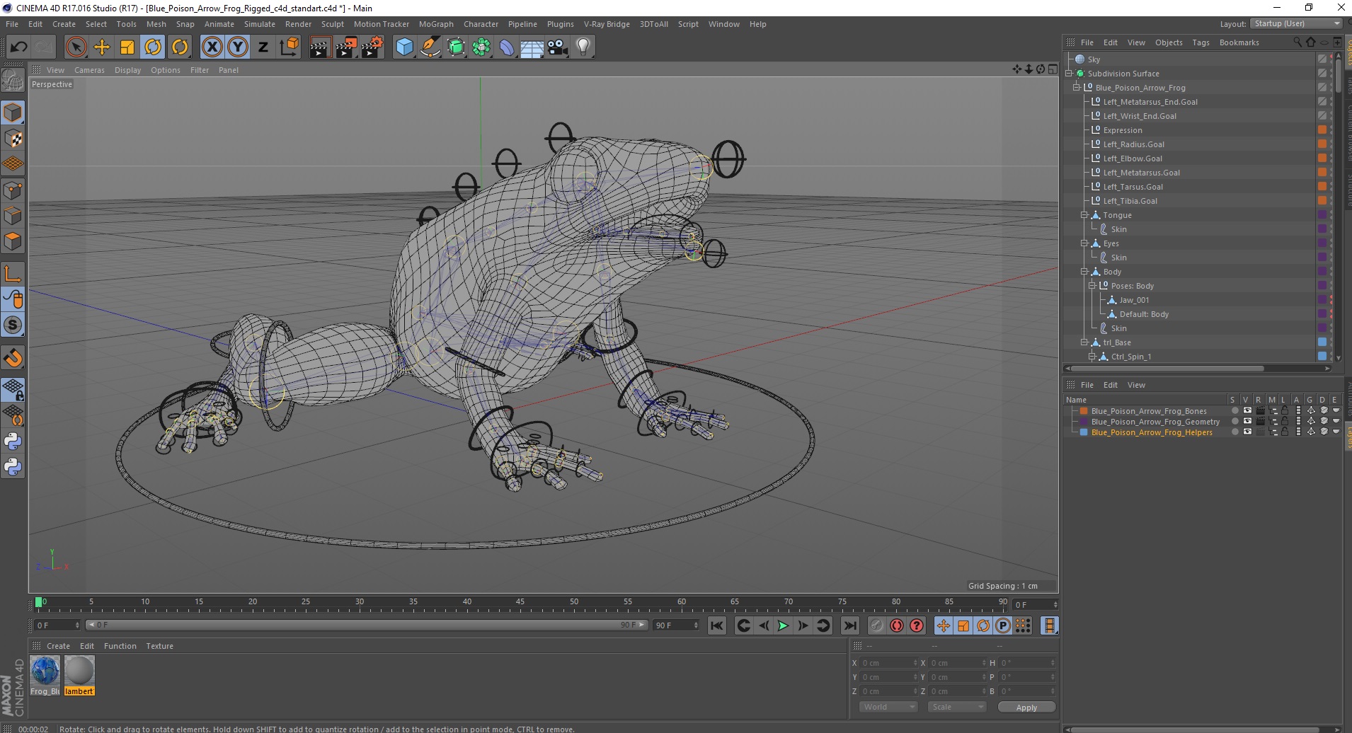 3D Blue Poison Arrow Frog Rigged for Cinema 4D model