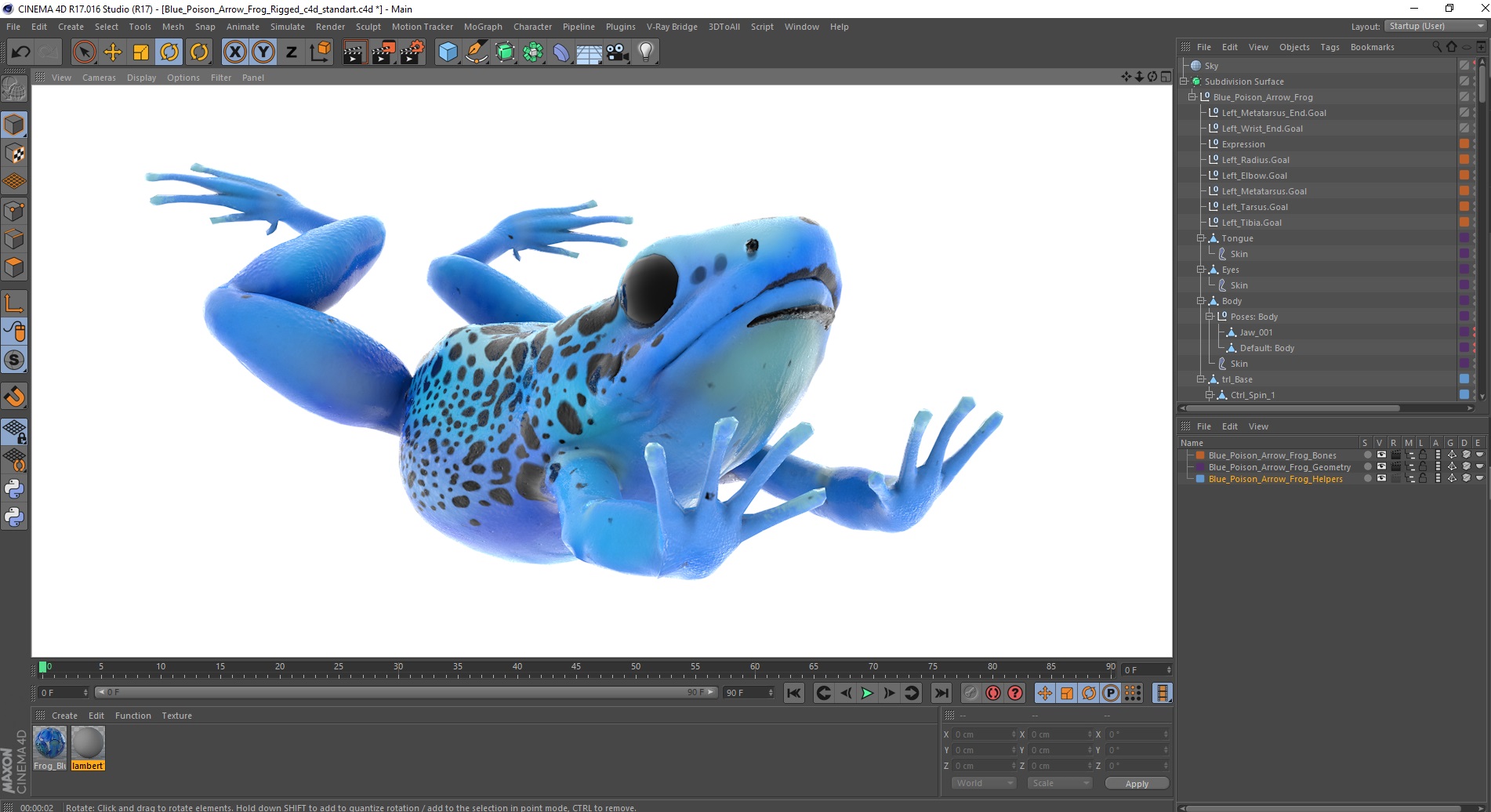 3D Blue Poison Arrow Frog Rigged for Cinema 4D model
