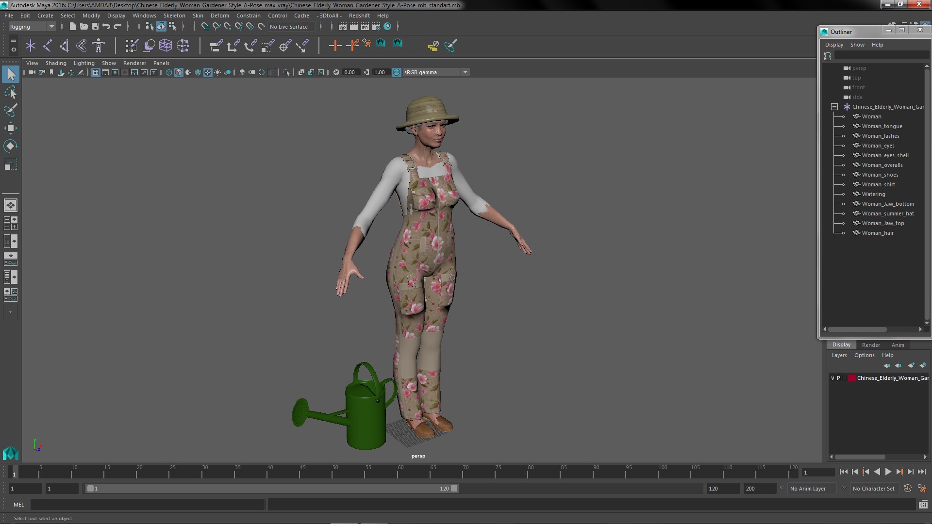 3D Chinese Elderly Woman Gardener Style A-Pose model