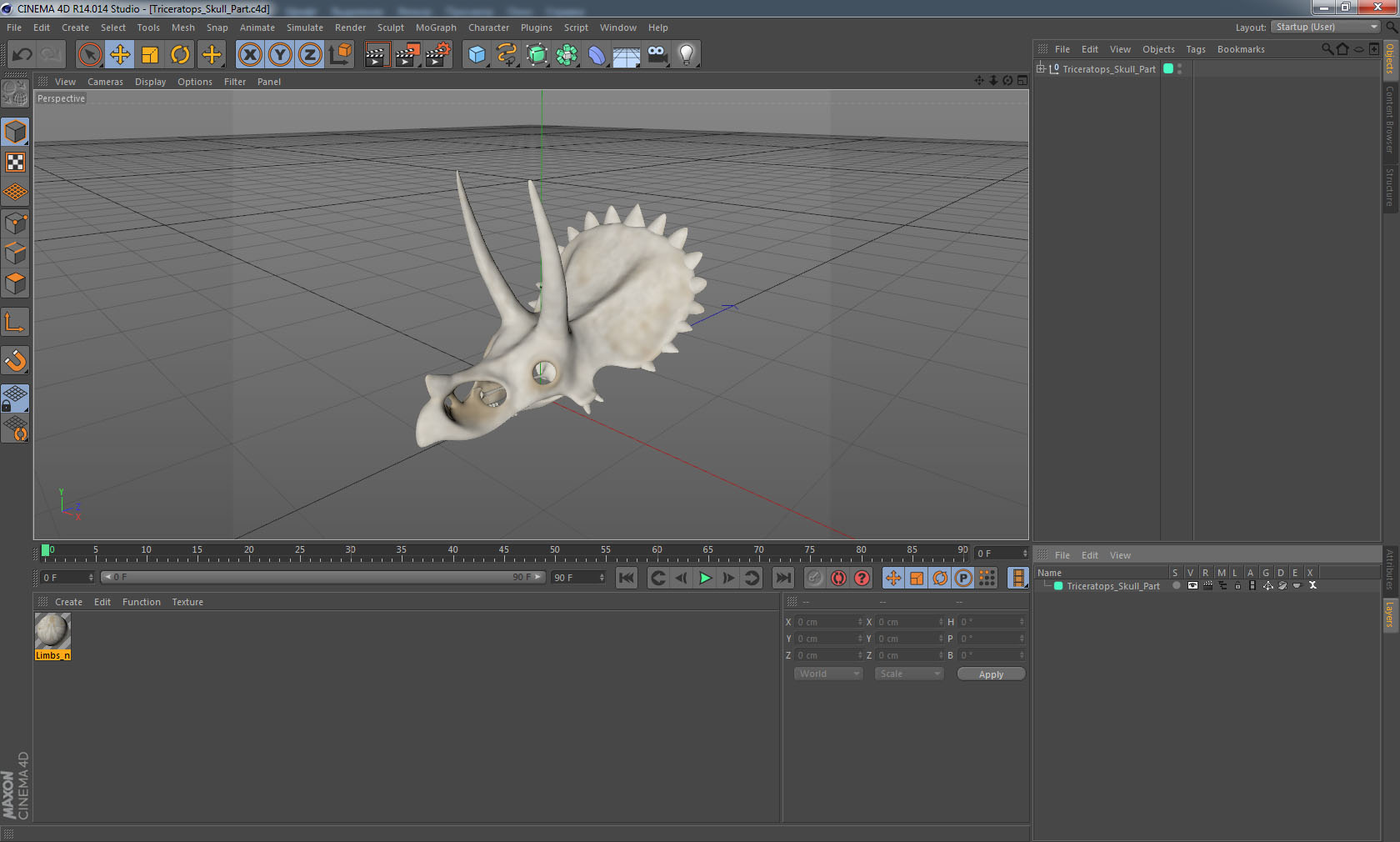 Triceratops Skull Part 3D