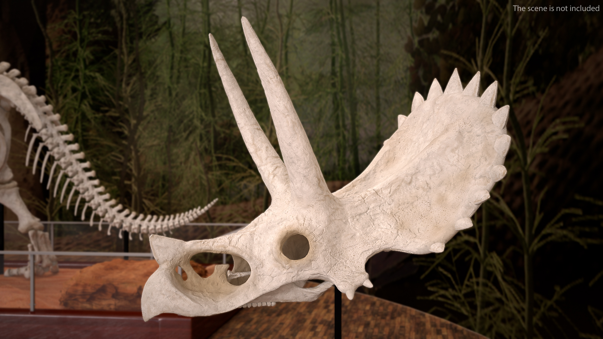 Triceratops Skull Part 3D