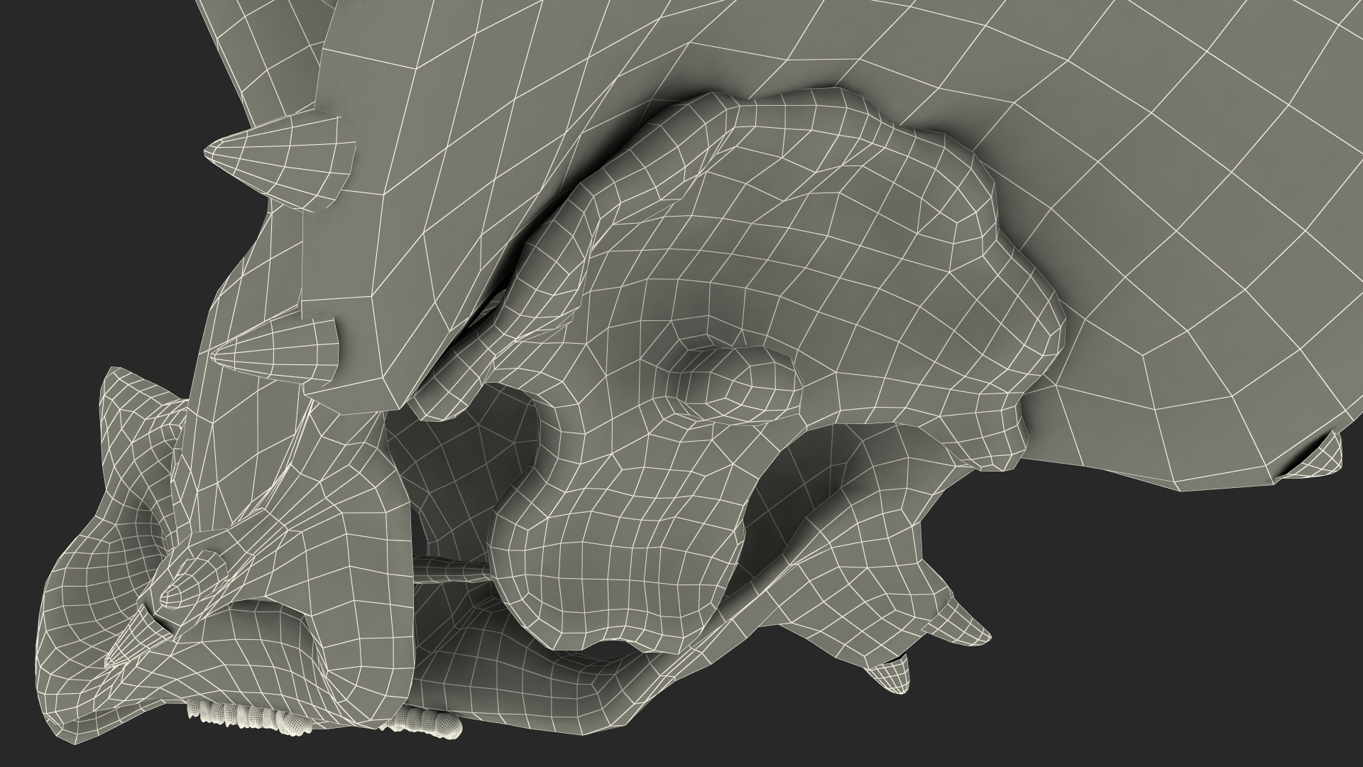 Triceratops Skull Part 3D