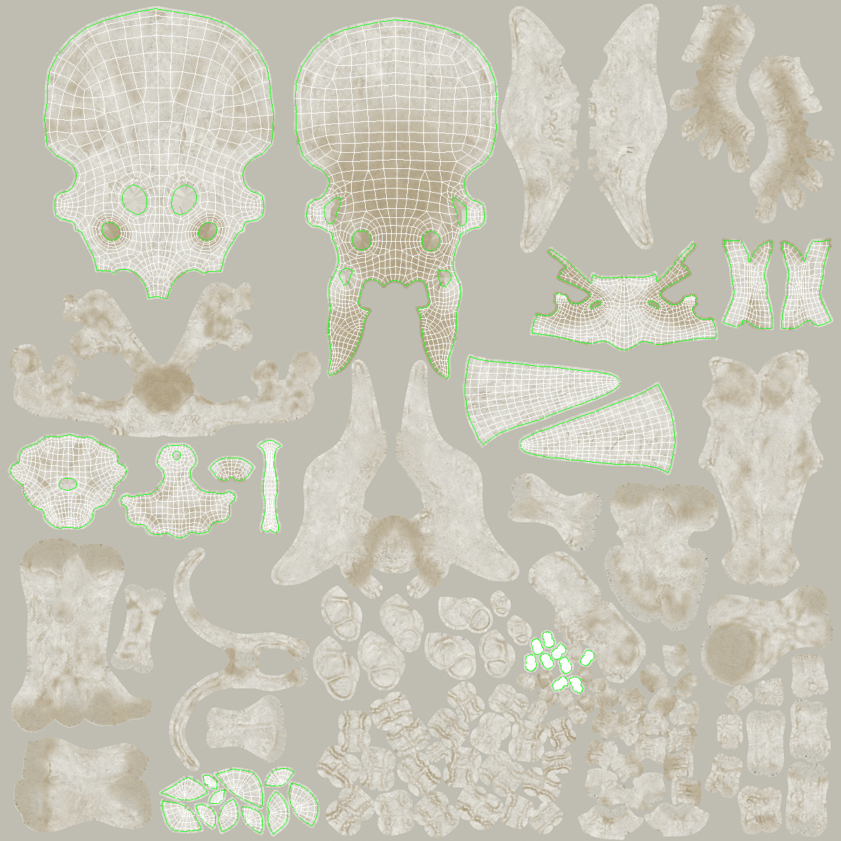 Triceratops Skull Part 3D