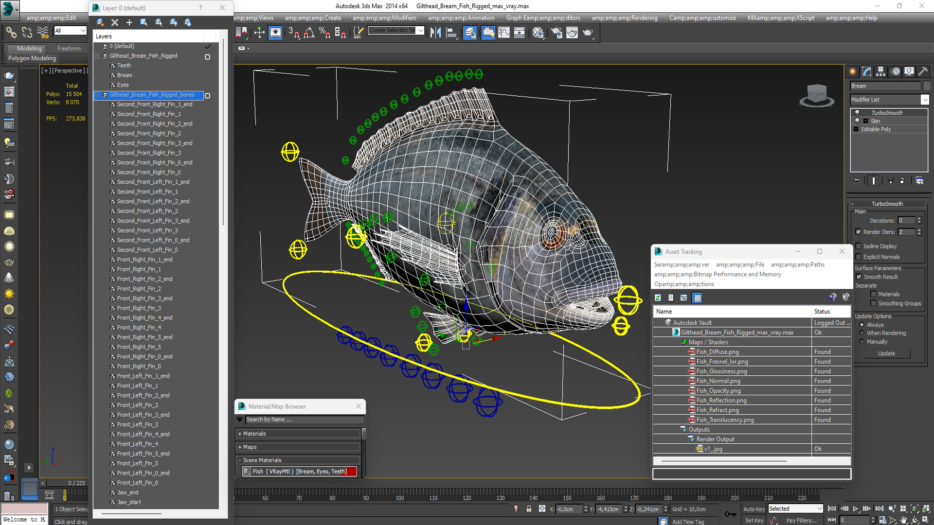 3D model Gilthead Bream Fish Rigged for Cinema 4D