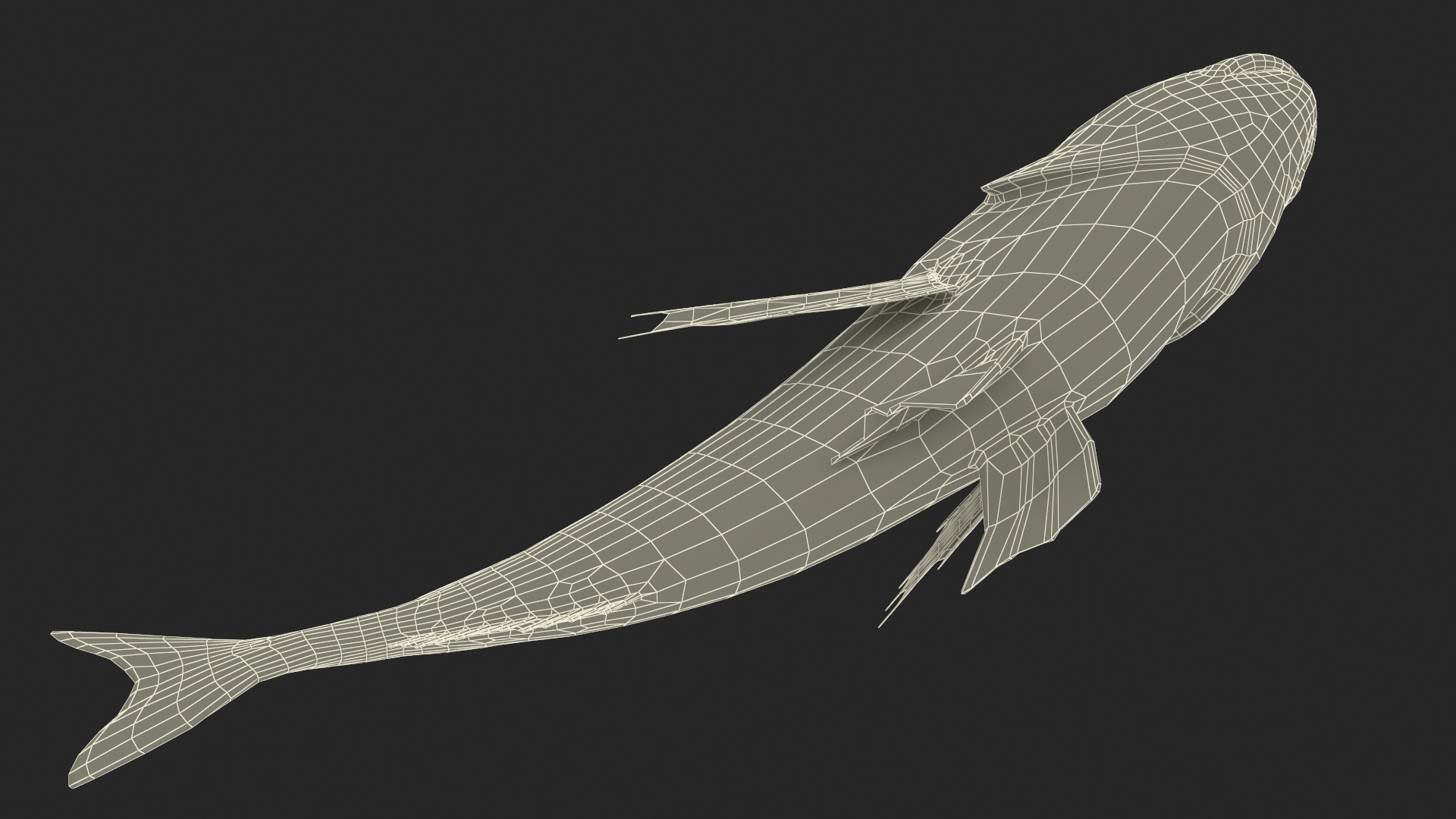 3D model Gilthead Bream Fish Rigged for Cinema 4D