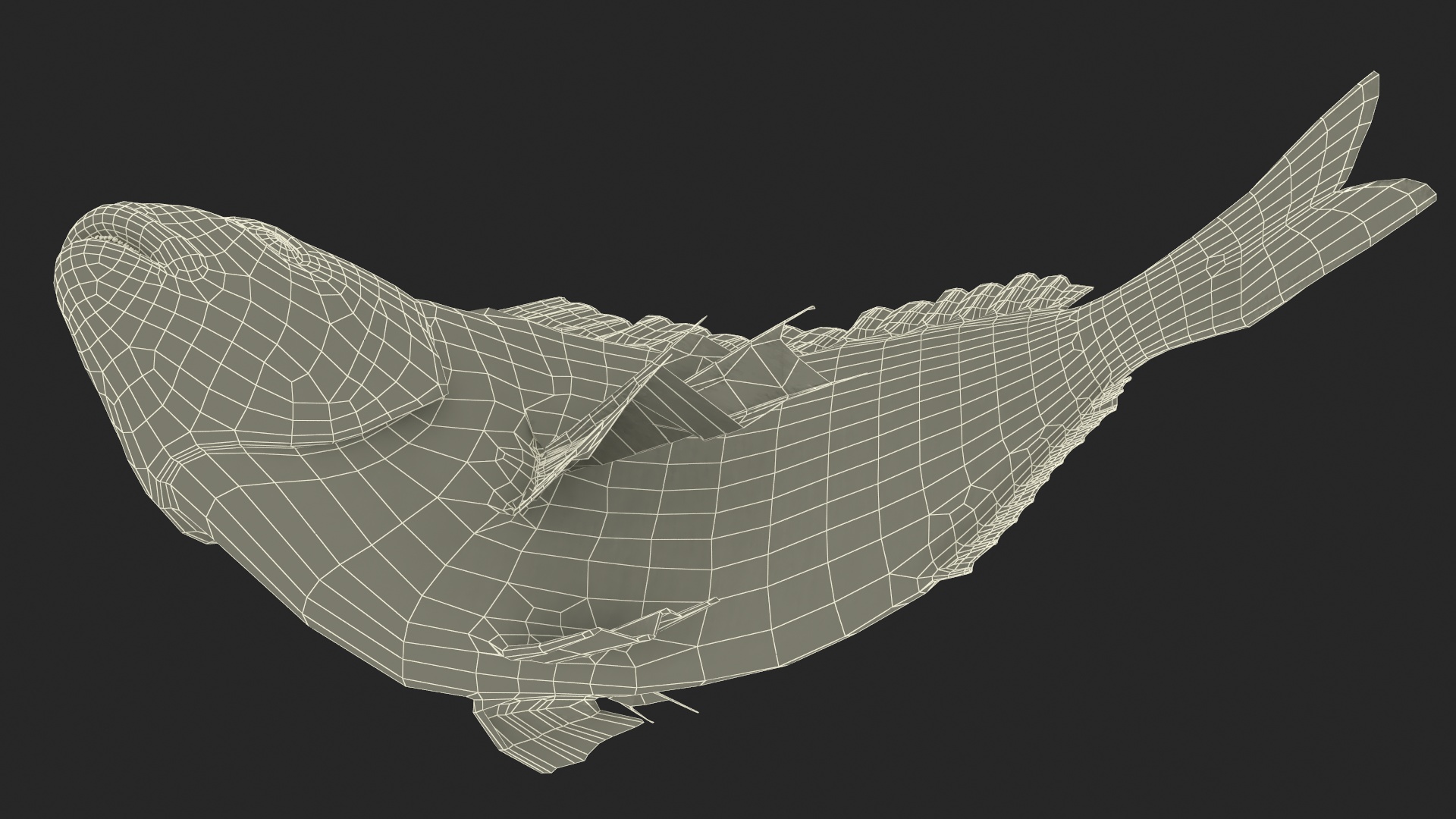 3D model Gilthead Bream Fish Rigged for Cinema 4D