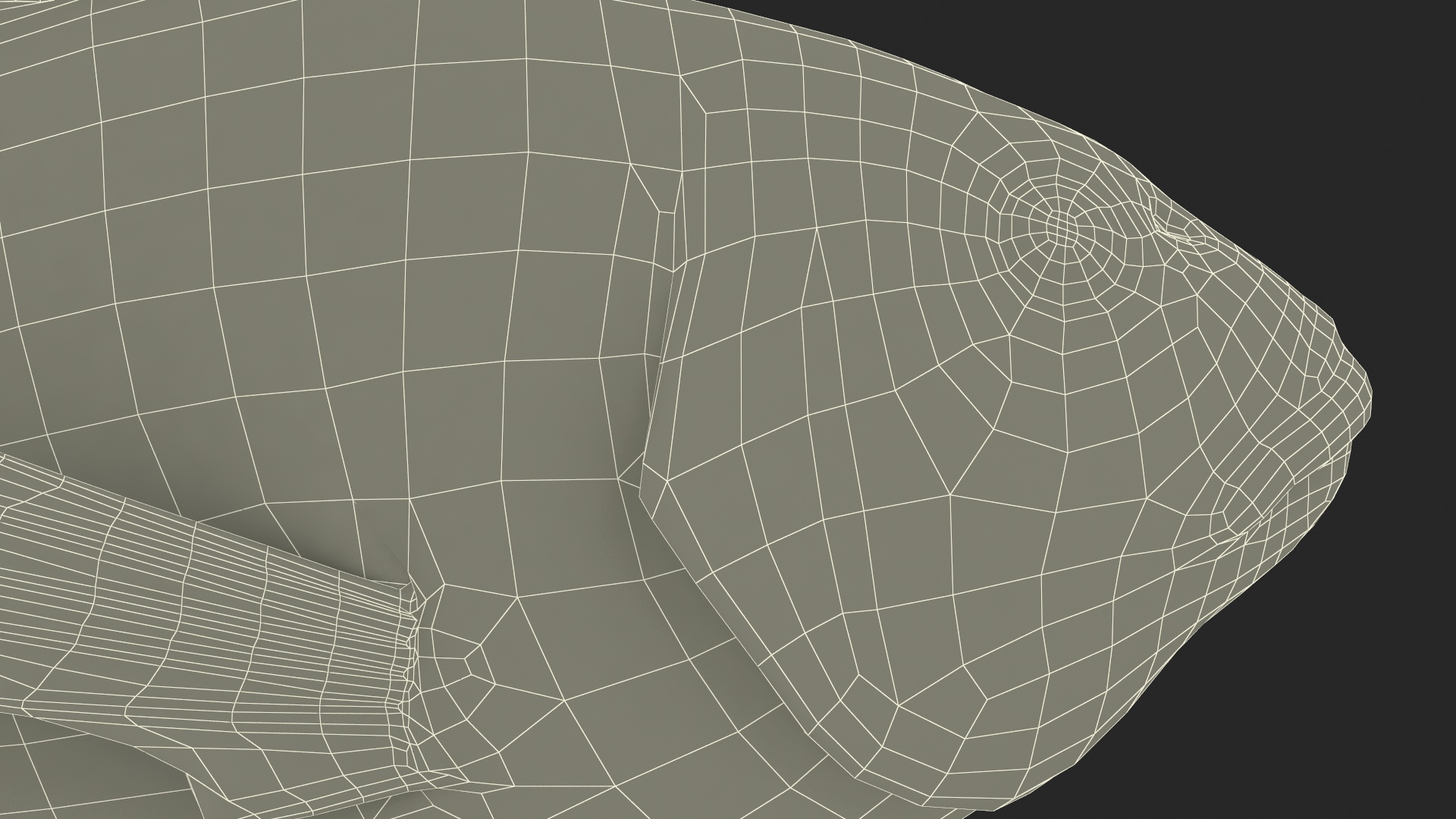3D model Gilthead Bream Fish Rigged for Cinema 4D
