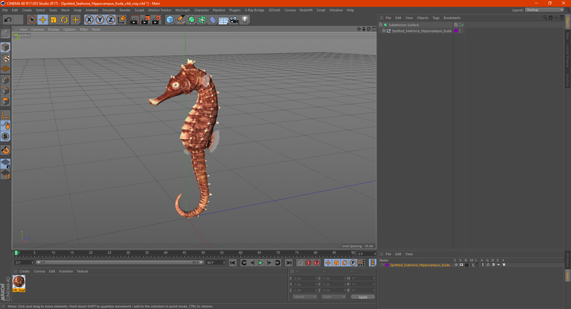 3D Spotted Seahorse Hippocampus Kuda model