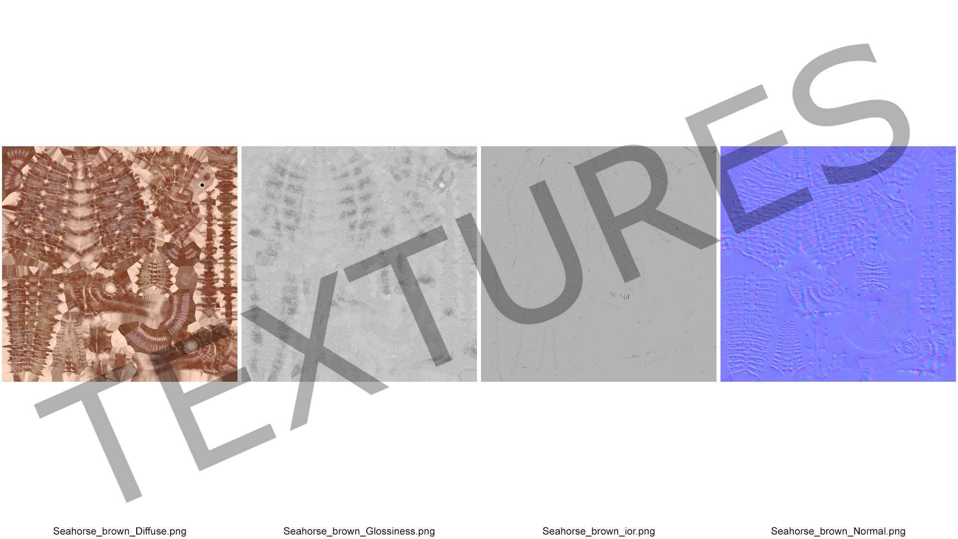 3D Spotted Seahorse Hippocampus Kuda model