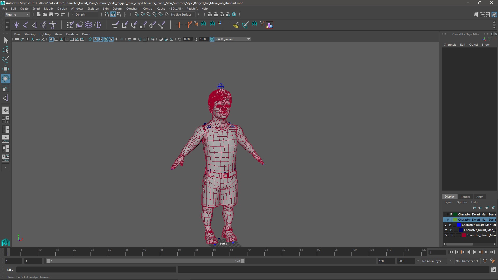 3D Character Dwarf Man Summer Style Rigged for Maya model