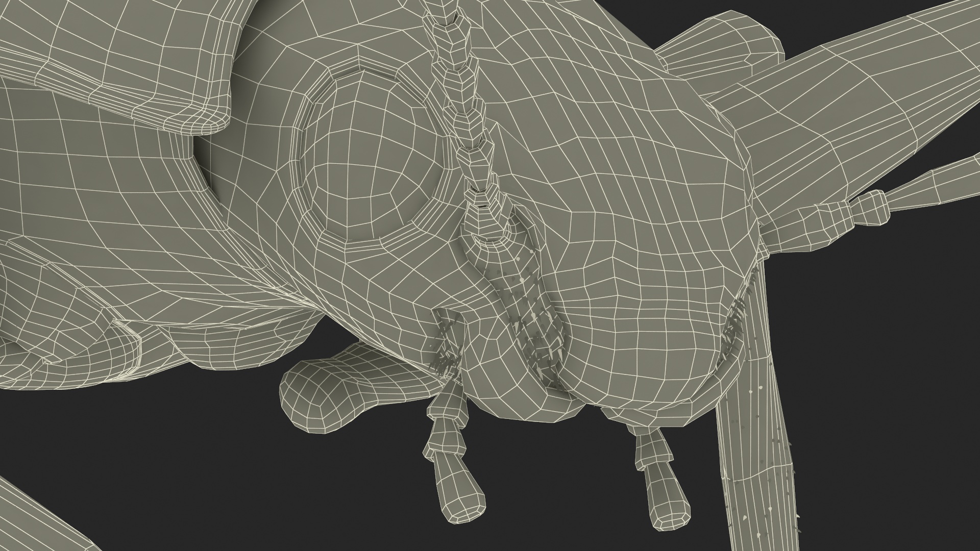 3D Blue Fungus Beetle Insect Fur Rigged
