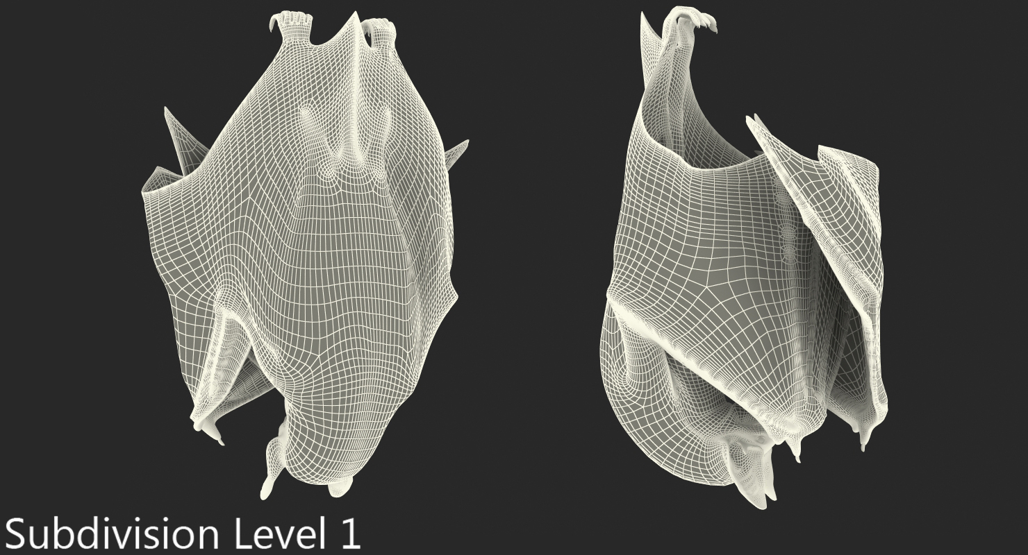 3D model Hanging Bat with Fur