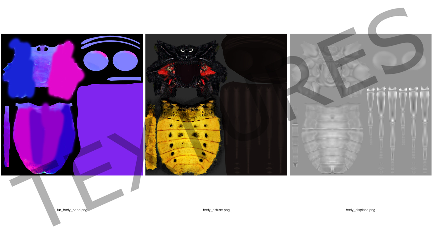 Queen Alexandras Birdwing Butterfly with Fur 3D model