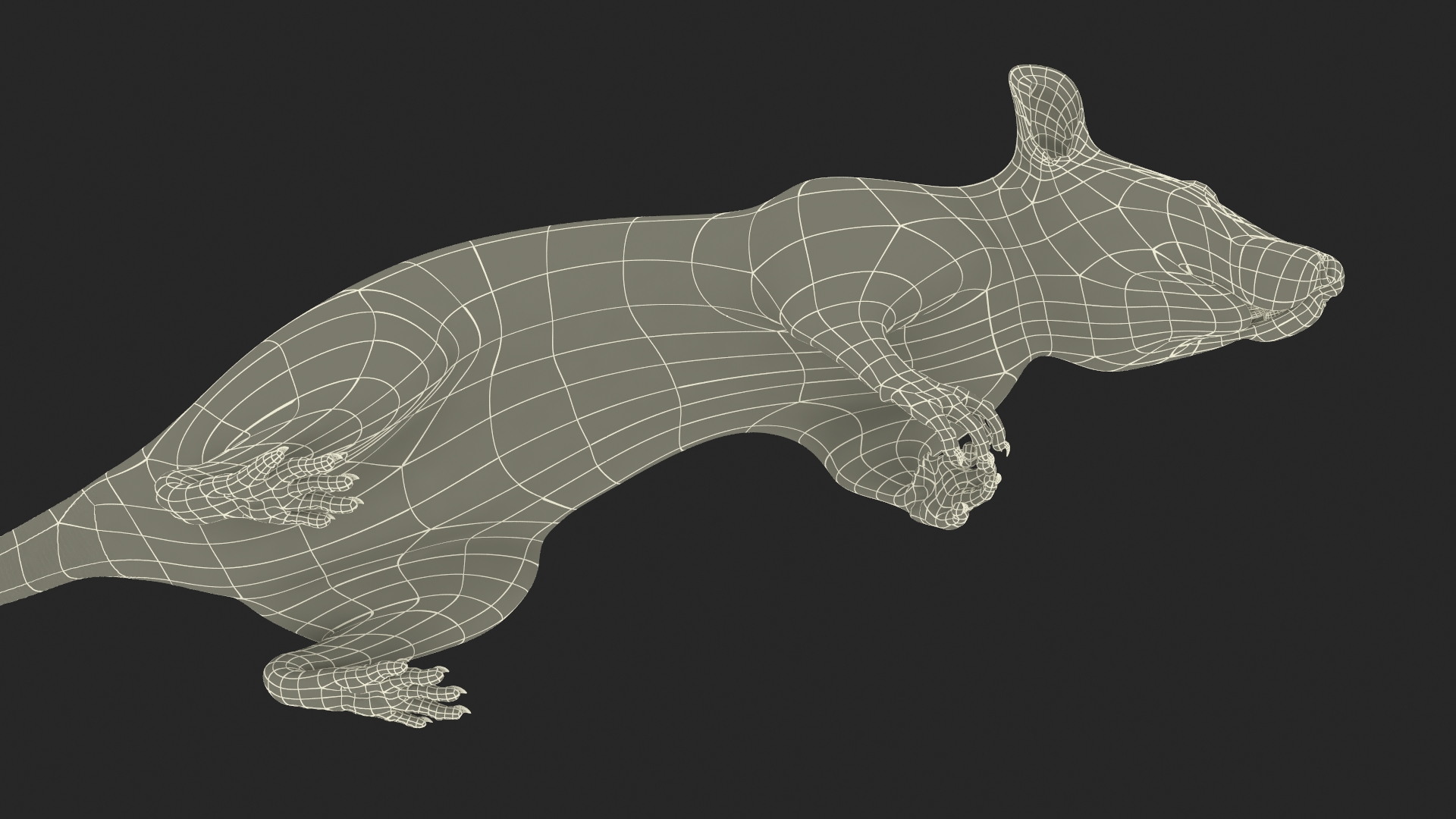 Common Rat with Fur 3D model