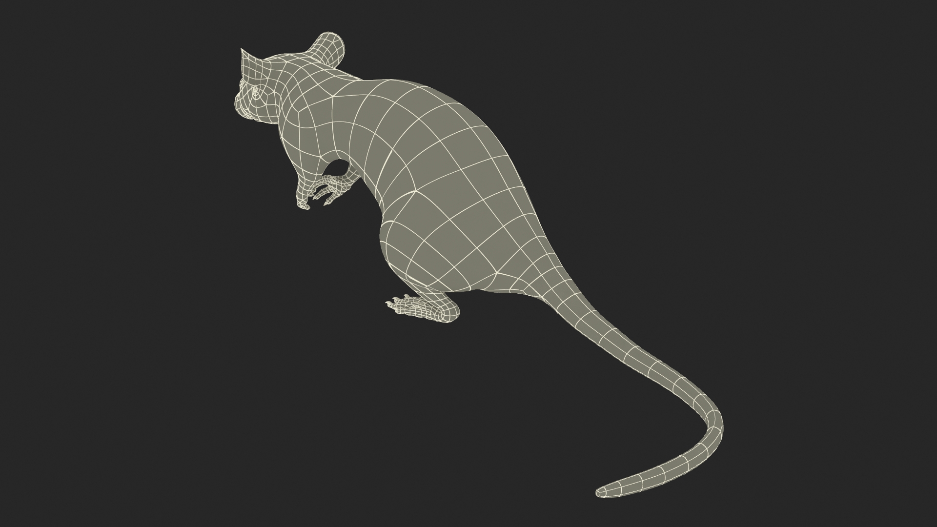 Common Rat with Fur 3D model