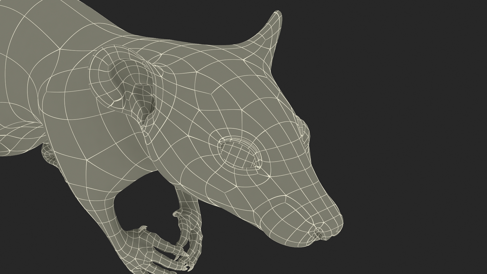 Common Rat with Fur 3D model