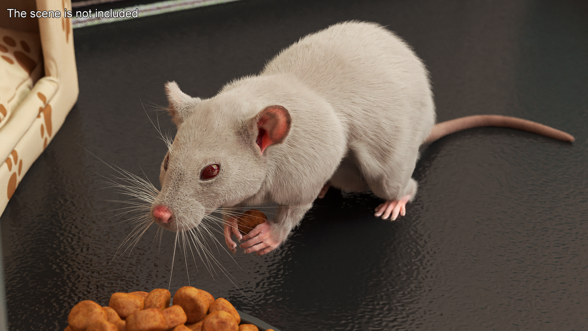 Common Rat with Fur 3D model