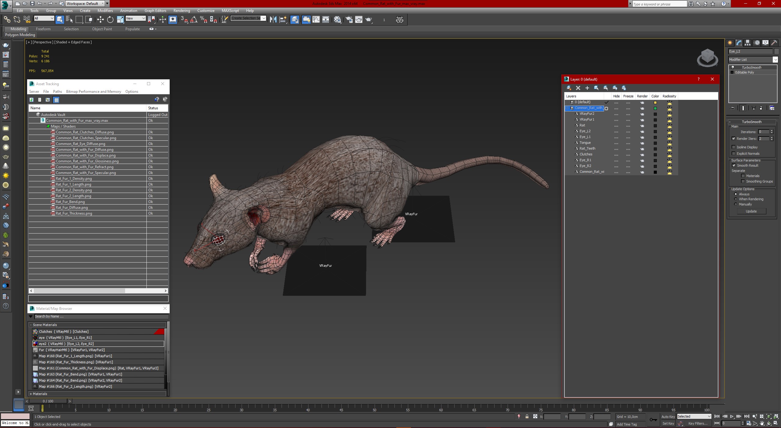 Common Rat with Fur 3D model