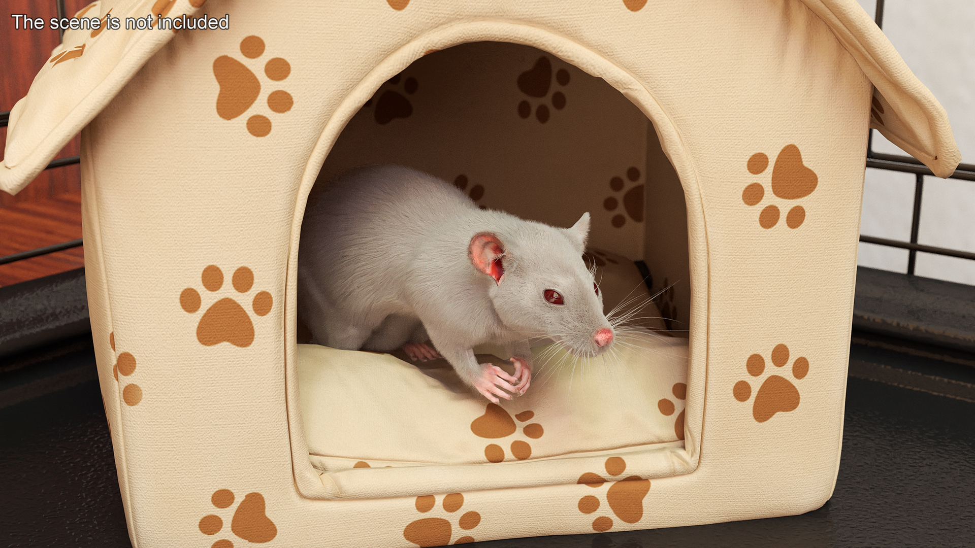 Common Rat with Fur 3D model