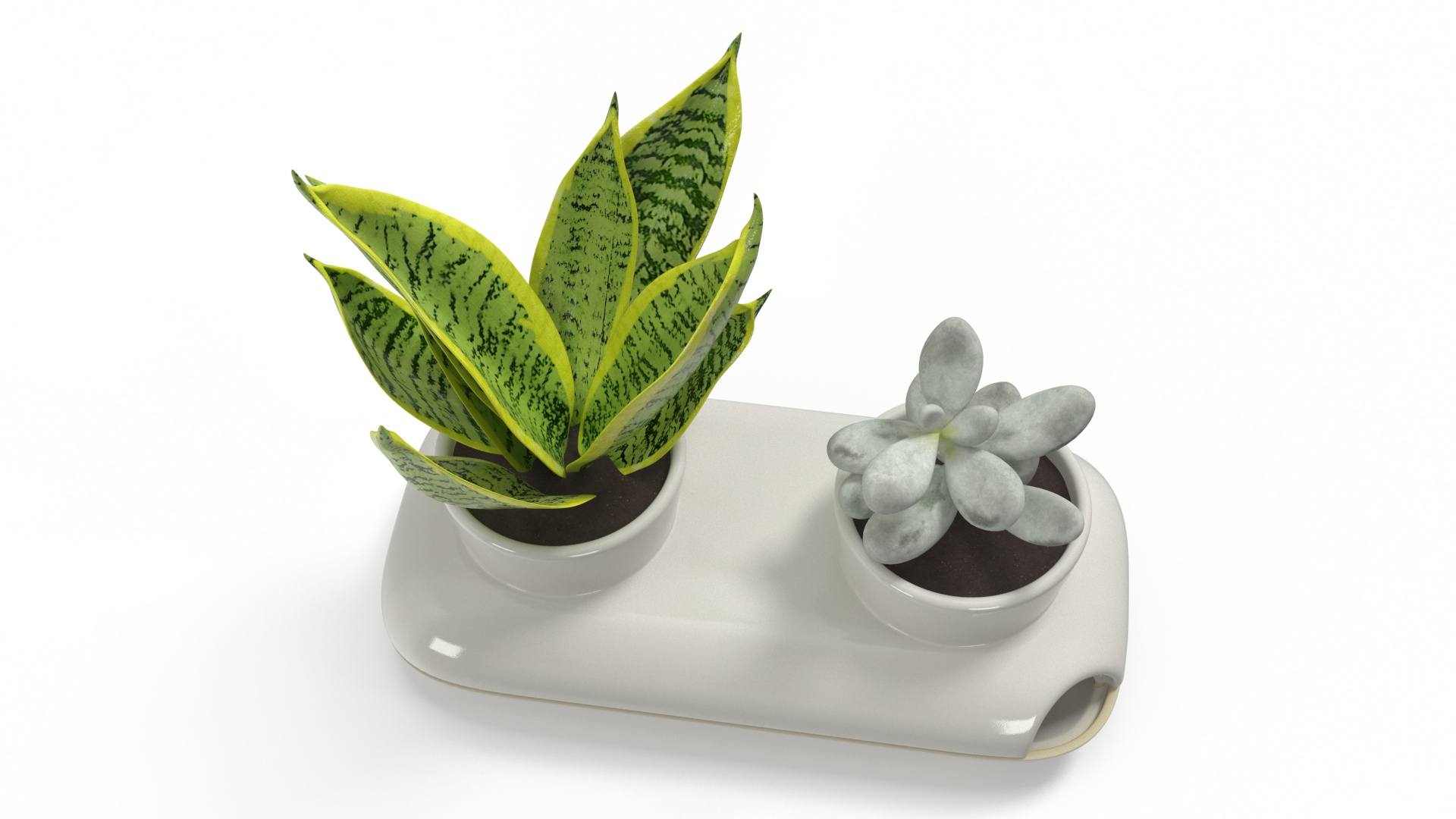 3D Sagaform Fresh Herb Pot Double White